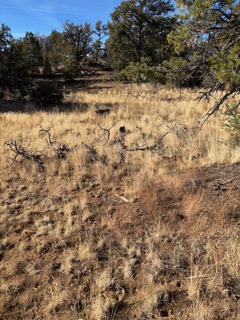 Rocky Knoll Ln Unit 92 Lot 228, Cubero, New Mexico image 4