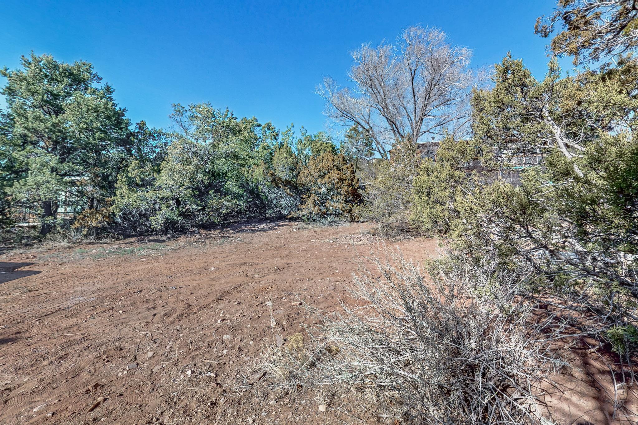 33 Derek Road, Sandia Park, New Mexico image 20