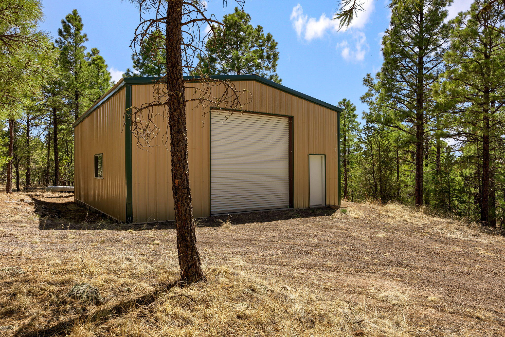 91 El Caso Road, Quemado, New Mexico image 33