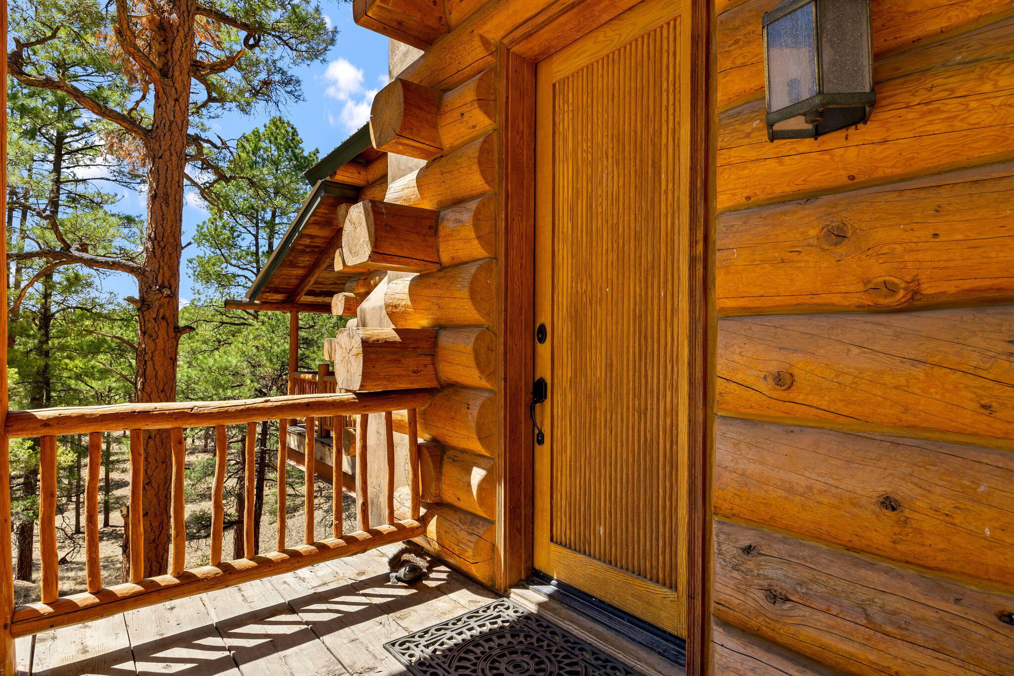 91 El Caso Road, Quemado, New Mexico image 5