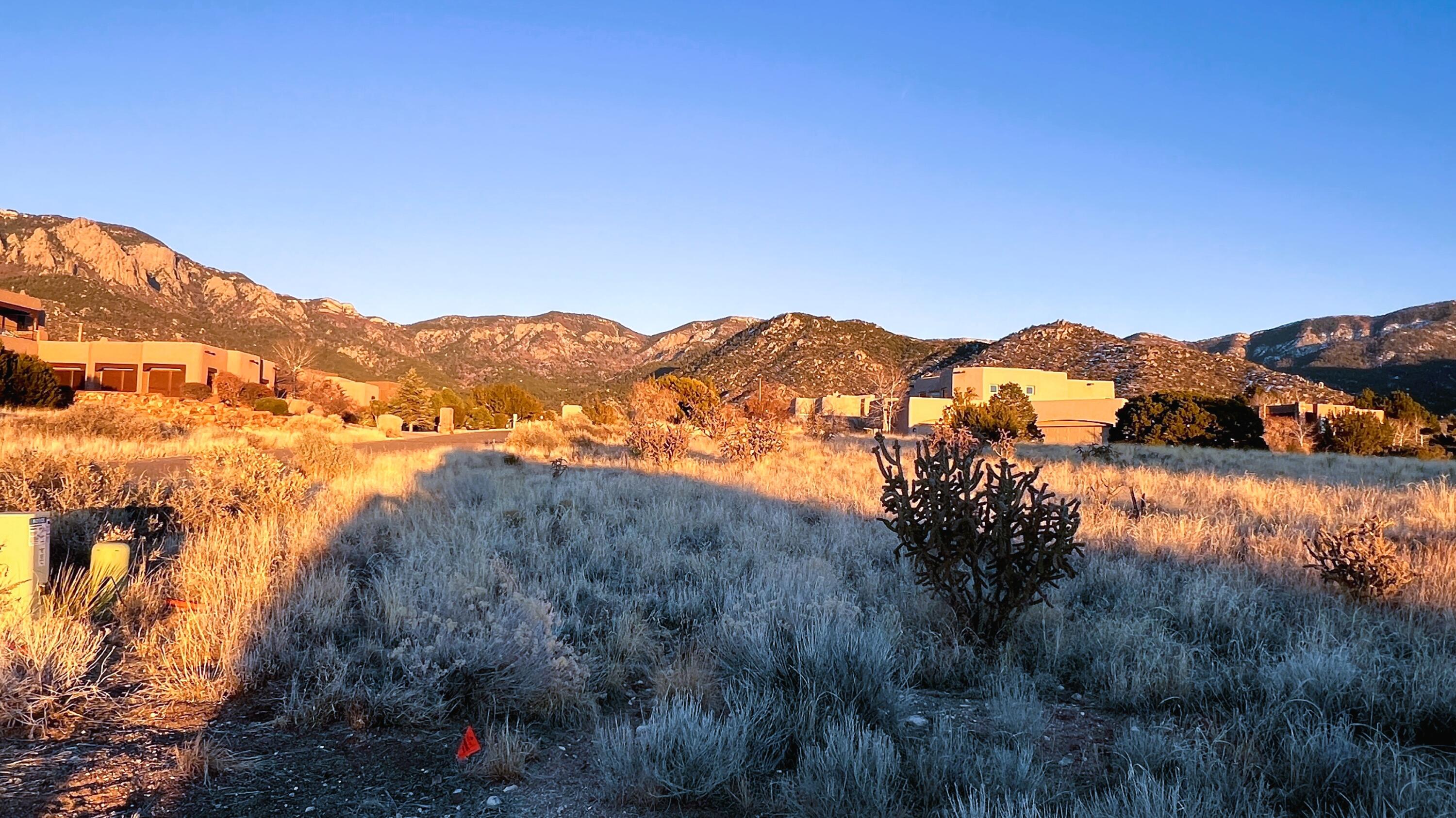 13700 Pino Ridge Place NE