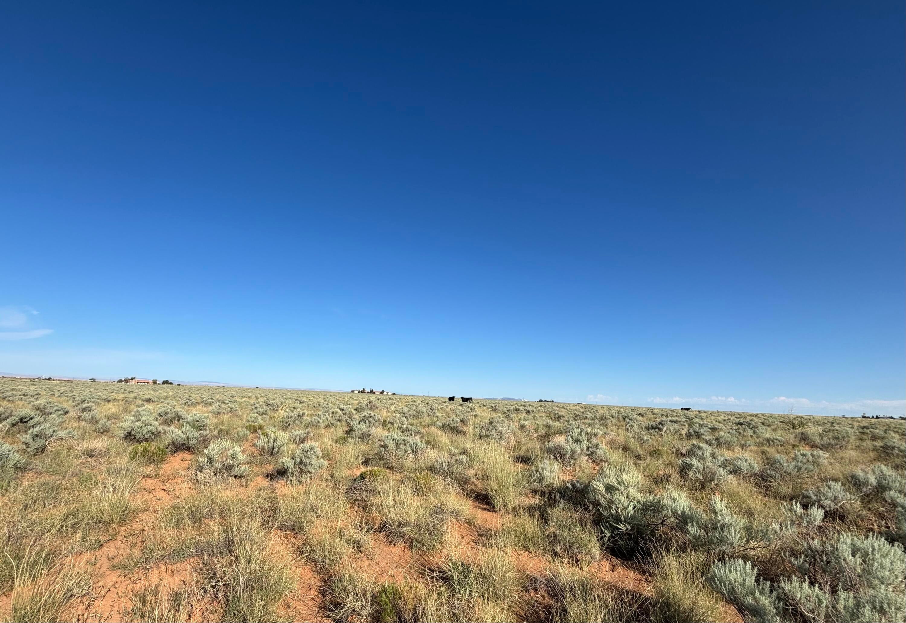 PALOMA Loop