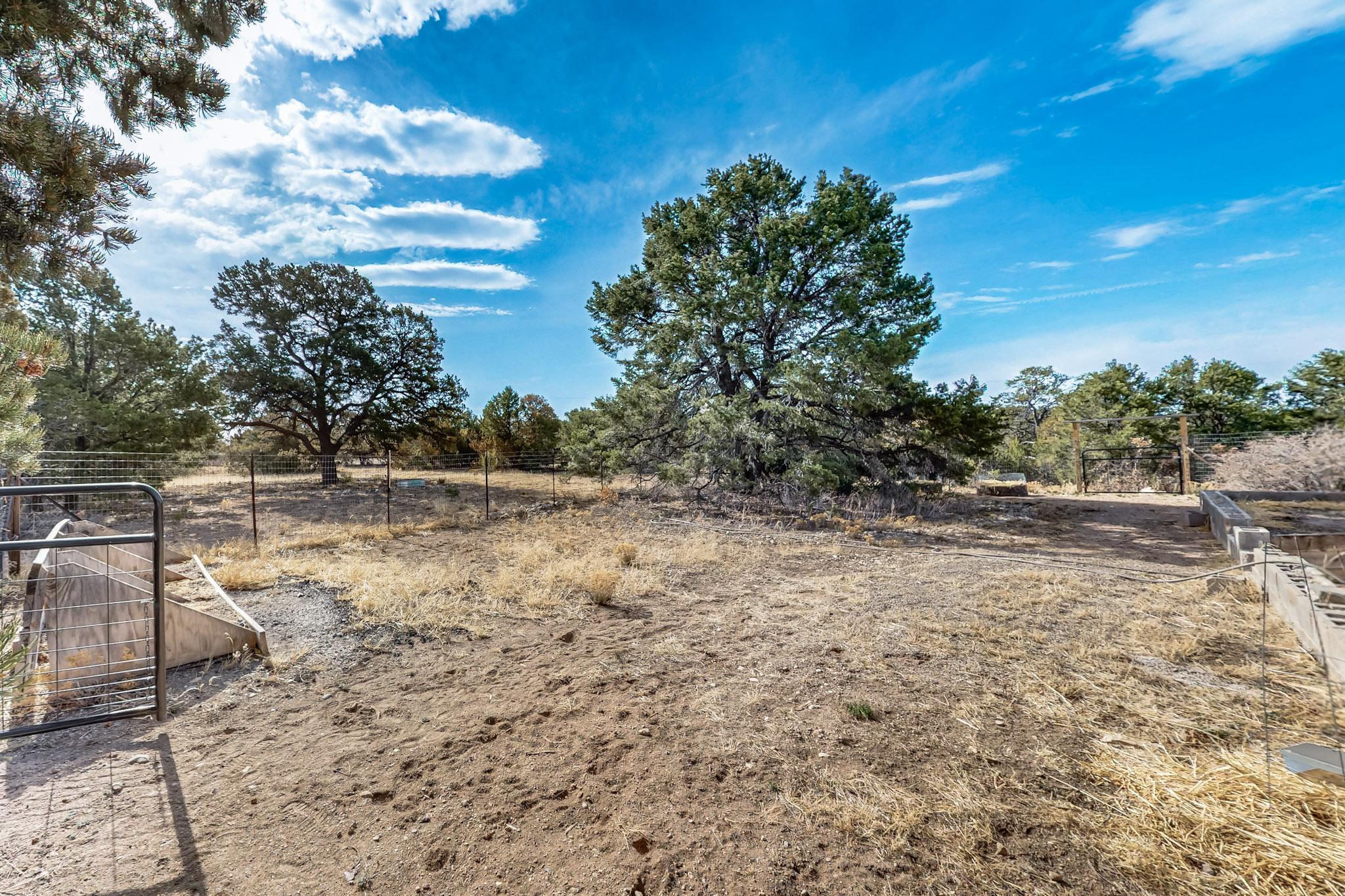 85 Crestview Lane, Edgewood, New Mexico image 45