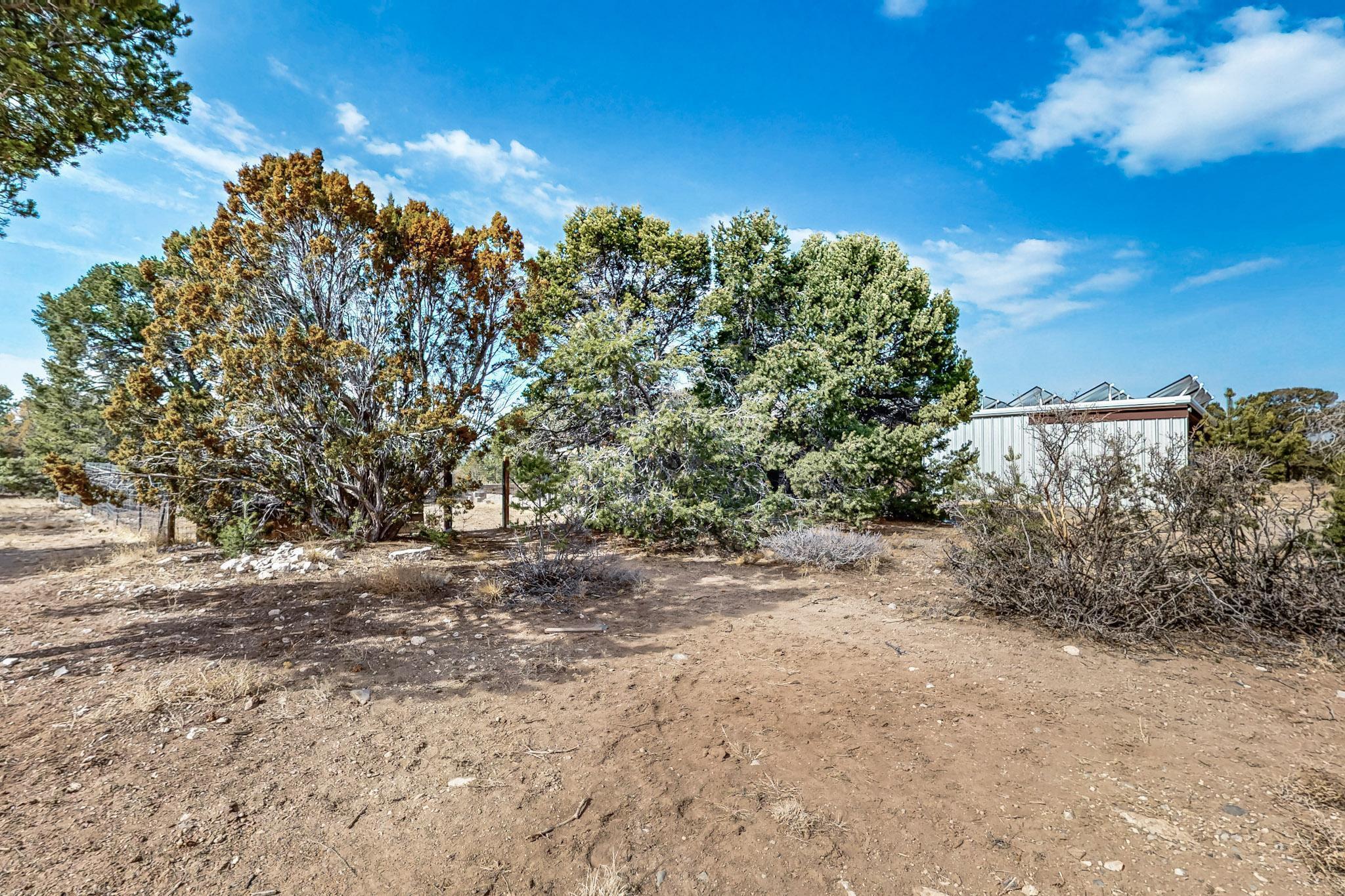 85 Crestview Lane, Edgewood, New Mexico image 41