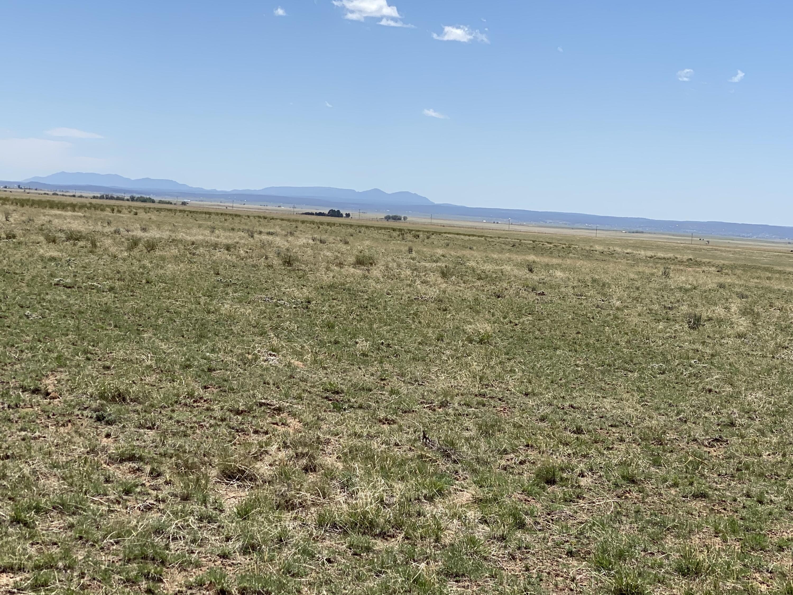 210 Judy Kay Road, Stanley, New Mexico image 2