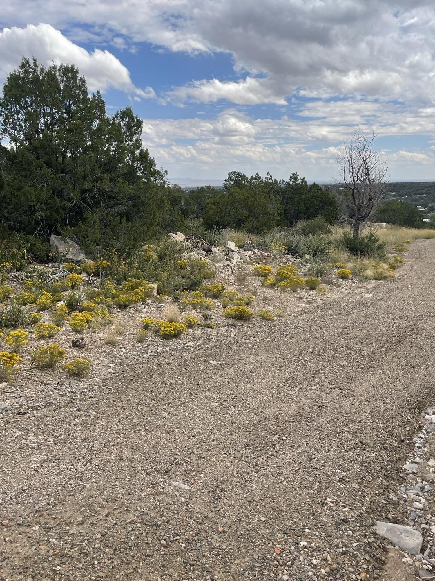 37 Morper Lane, Edgewood, New Mexico image 2