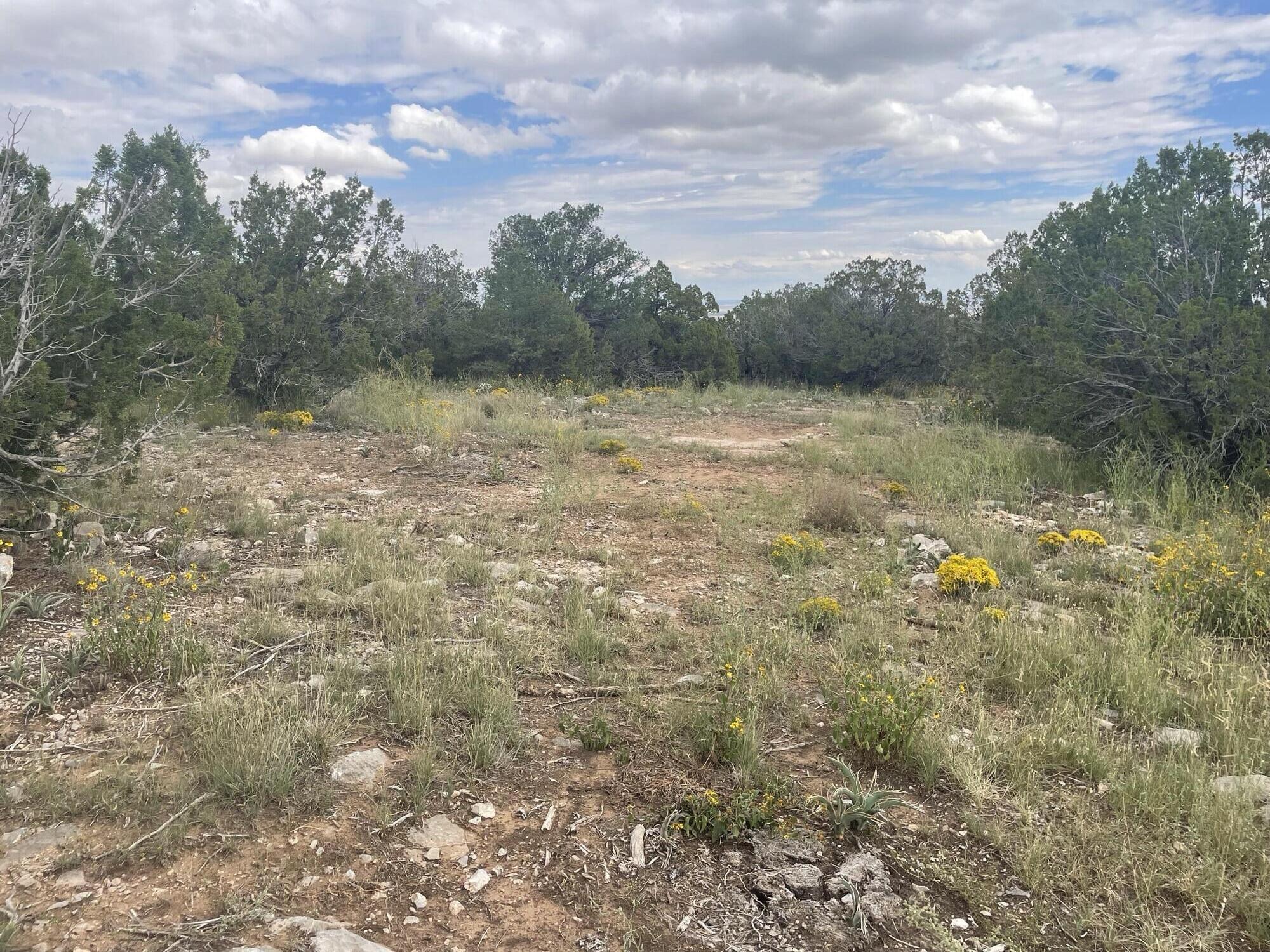 37 Morper Lane, Edgewood, New Mexico image 3