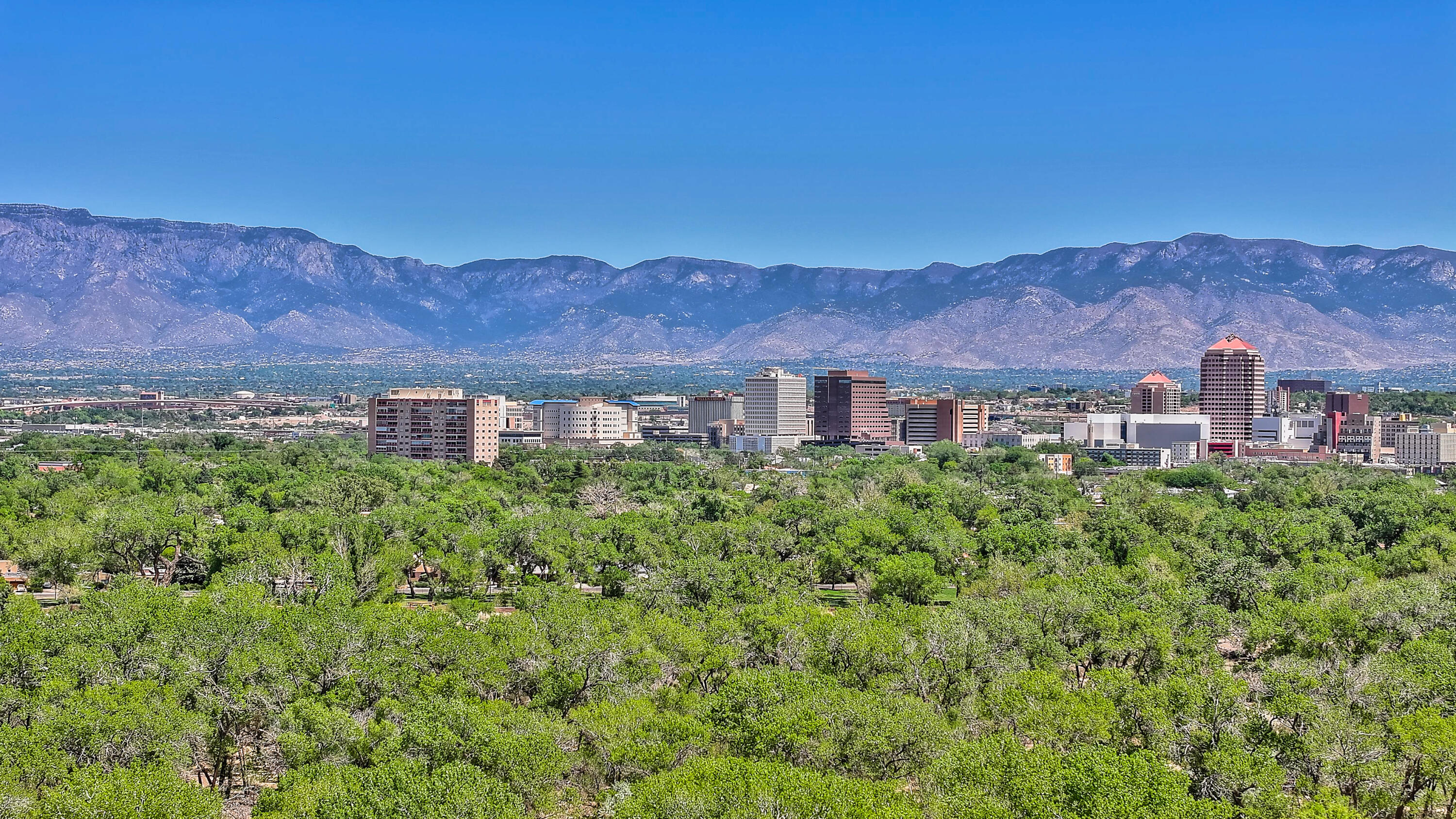 236 Anna Maria Place, Albuquerque, New Mexico image 14