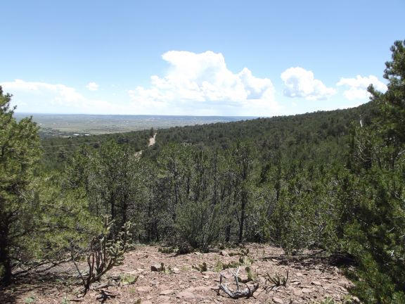 Mountain, Edgewood, New Mexico image 5