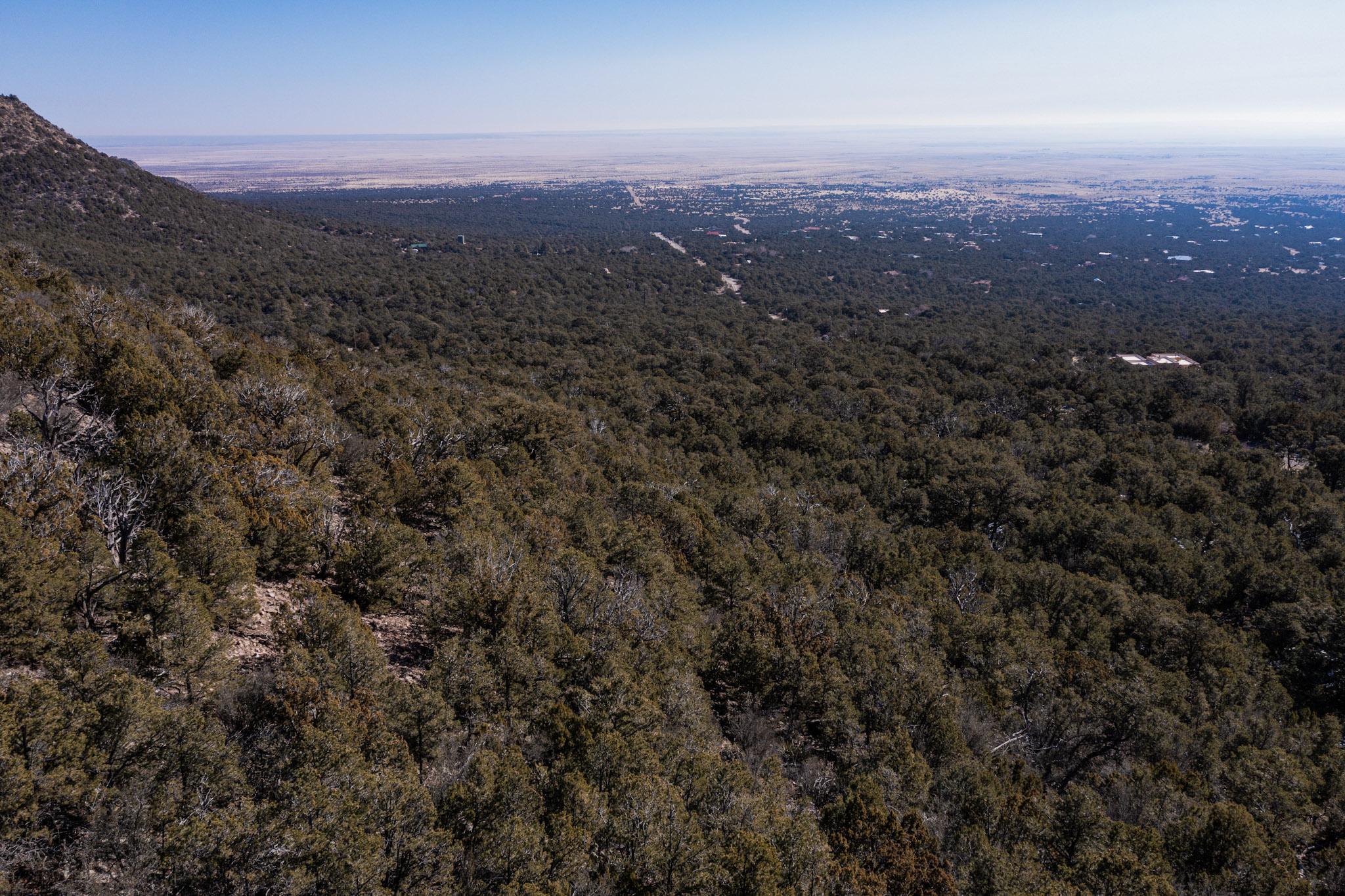 Mountain, Edgewood, New Mexico image 28