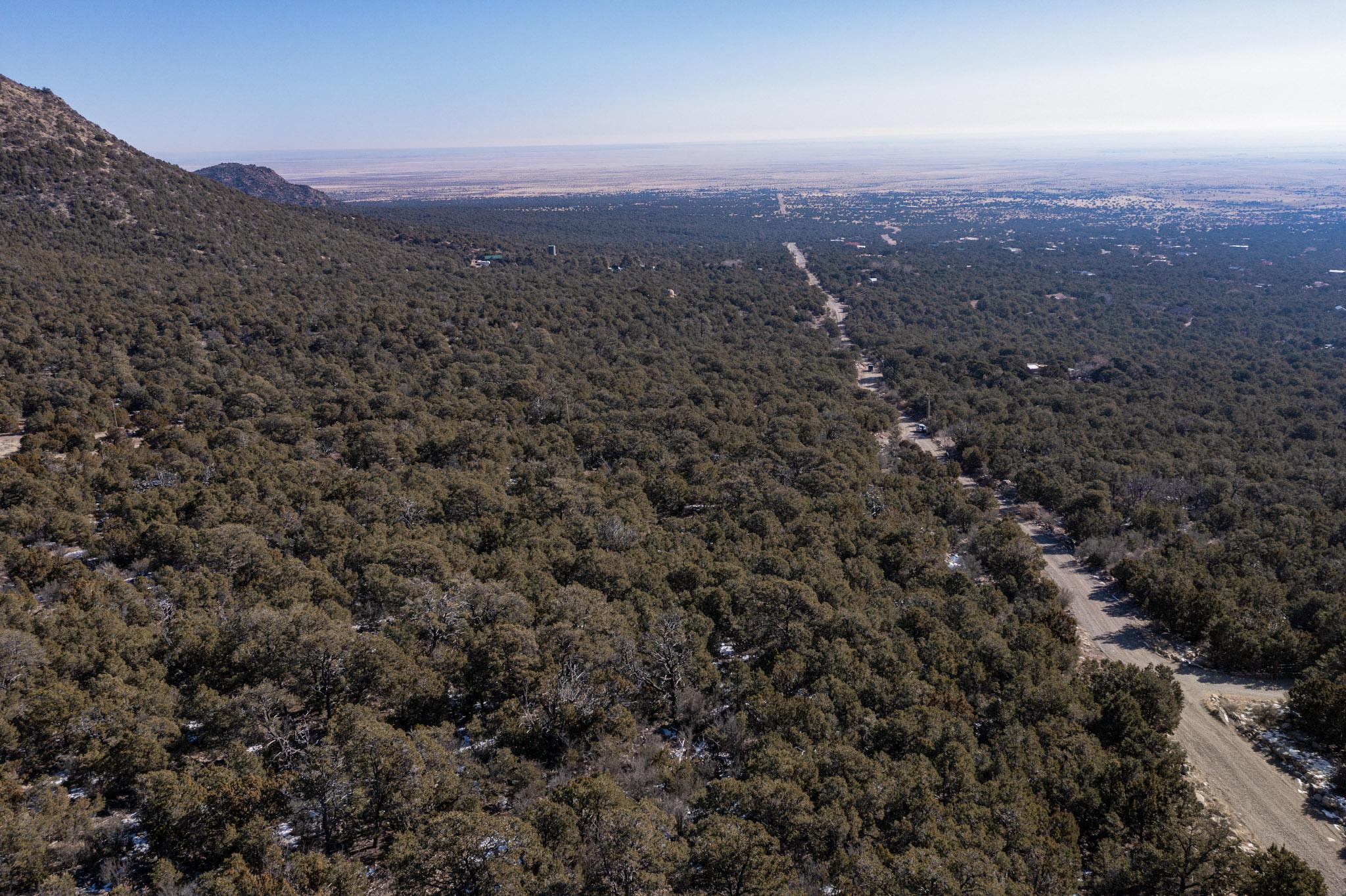 Mountain, Edgewood, New Mexico image 12