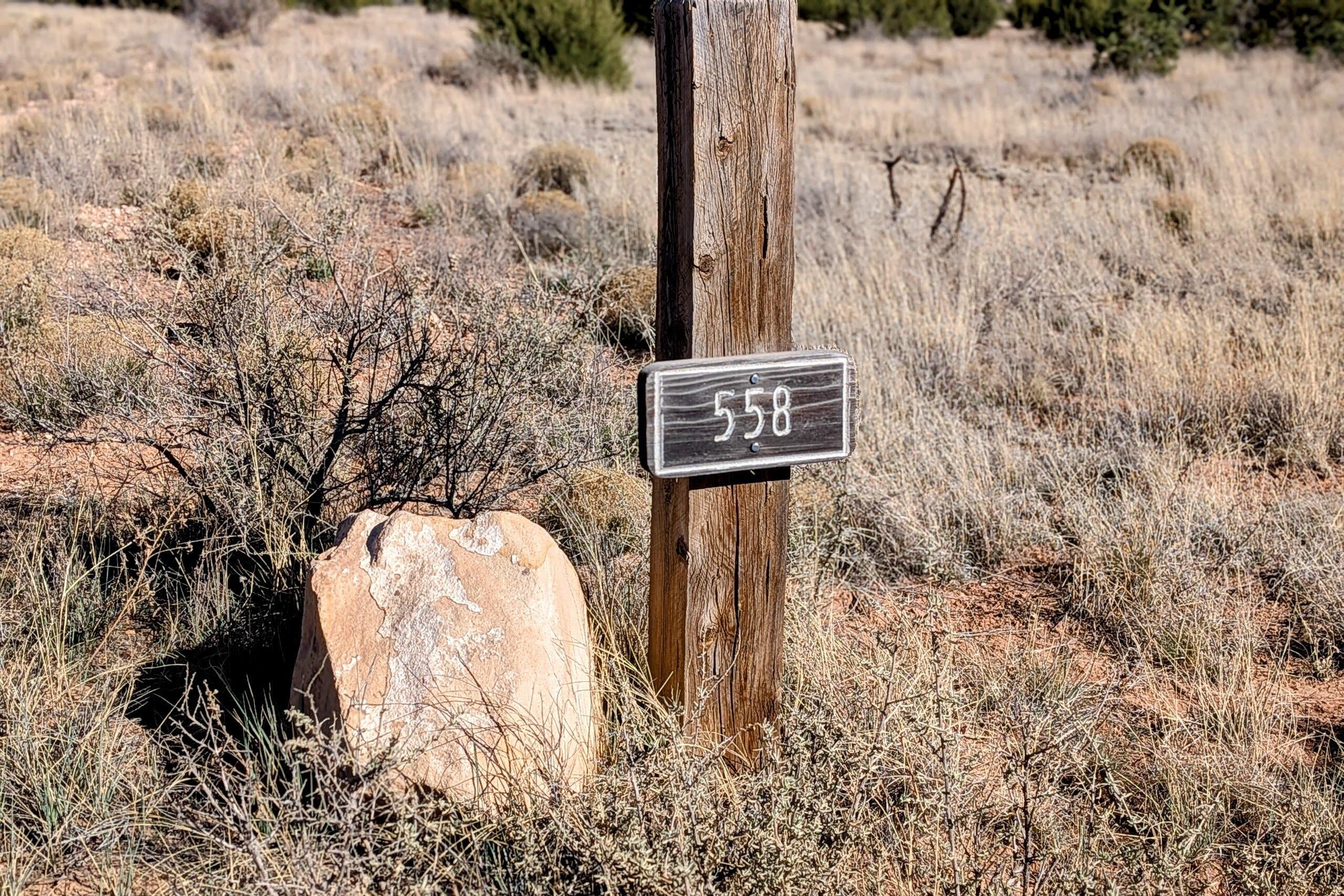 558 Deer Canyon Trail