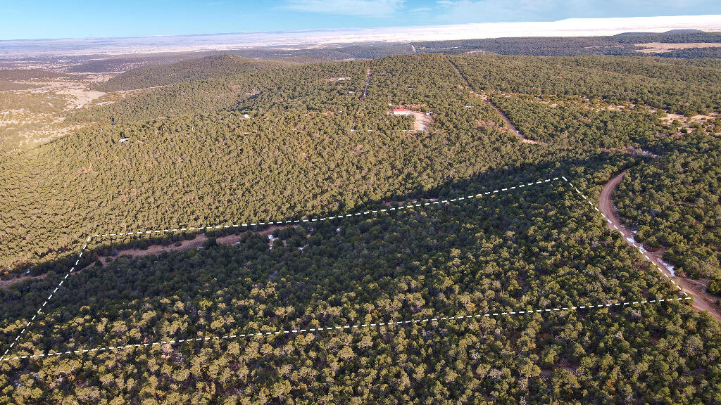 166 Mccomb Road, Edgewood, New Mexico image 9