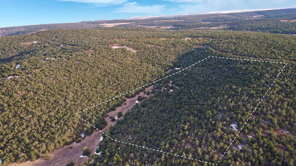 166 Mccomb Road, Edgewood, New Mexico image 8