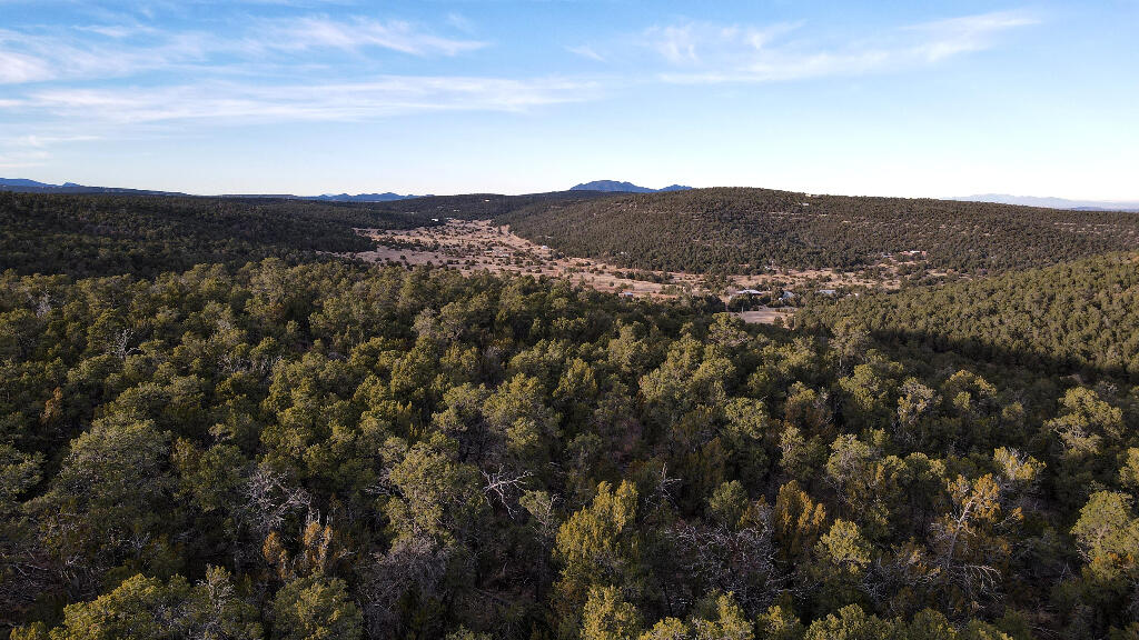 166 Mccomb Road, Edgewood, New Mexico image 16