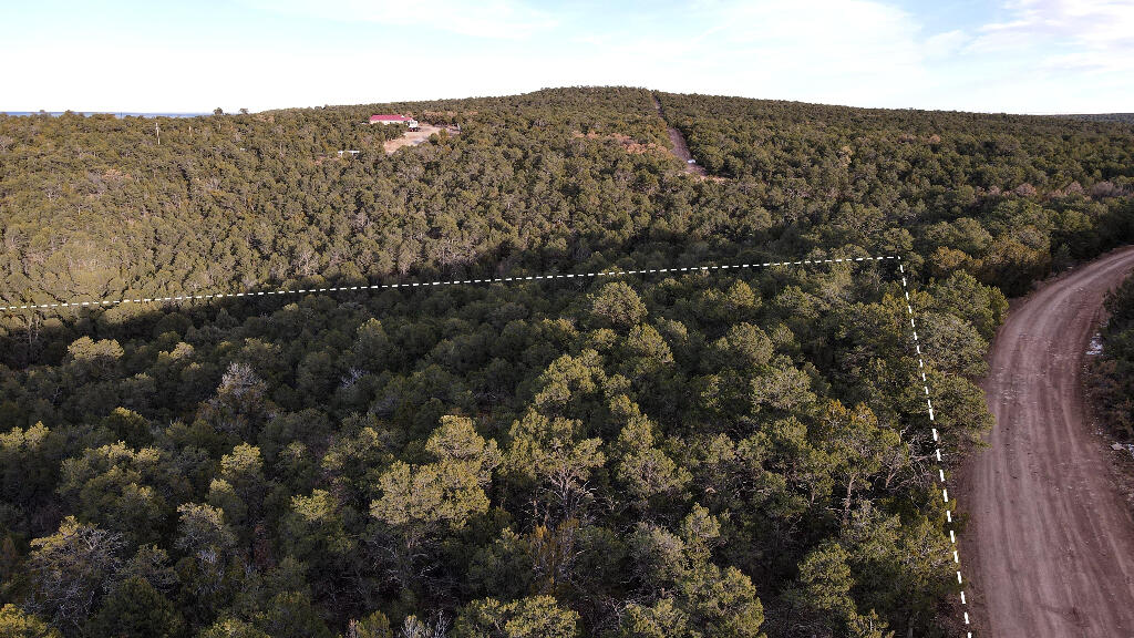 166 Mccomb Road, Edgewood, New Mexico image 18