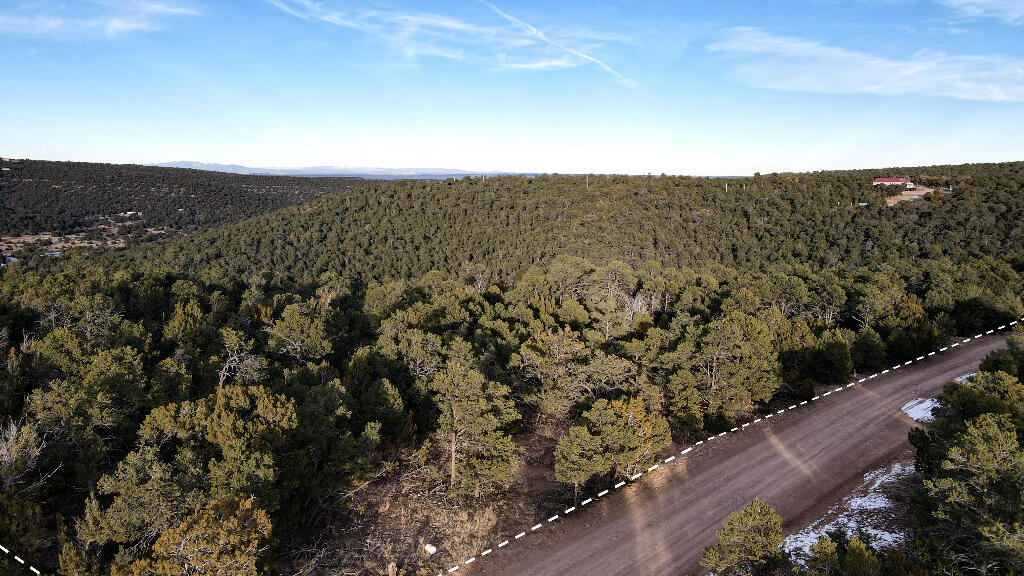 166 Mccomb Road, Edgewood, New Mexico image 12