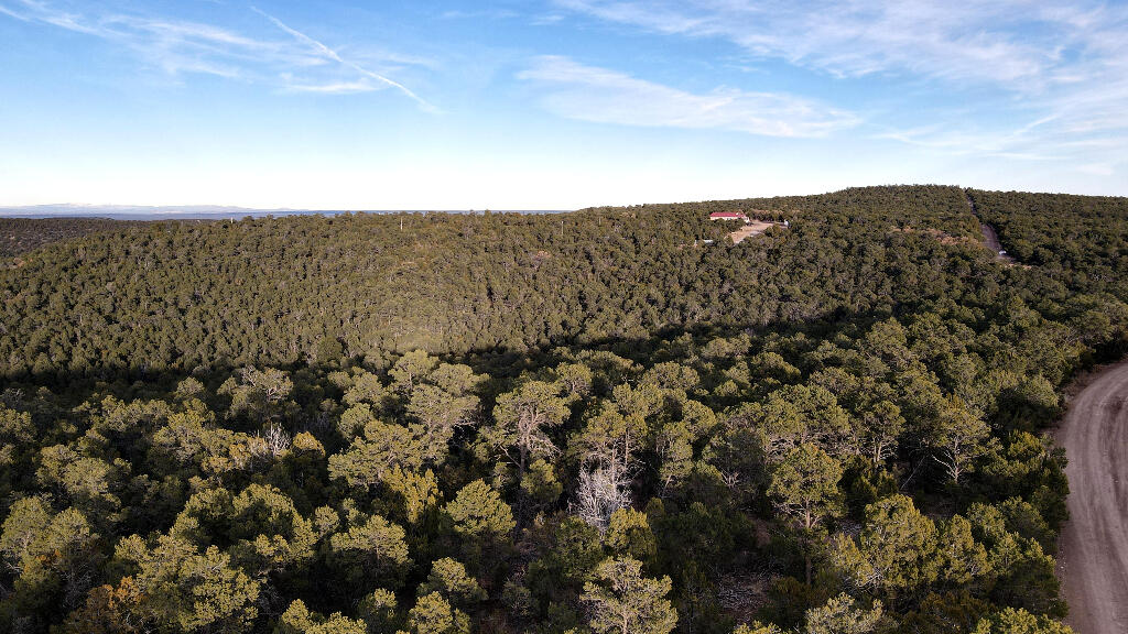 166 Mccomb Road, Edgewood, New Mexico image 15