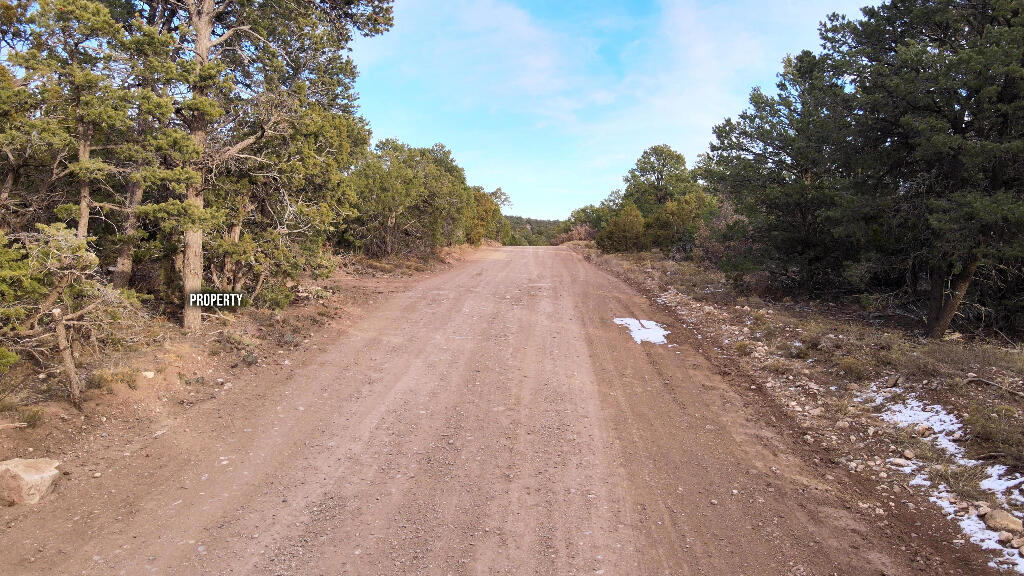 166 Mccomb Road, Edgewood, New Mexico image 13