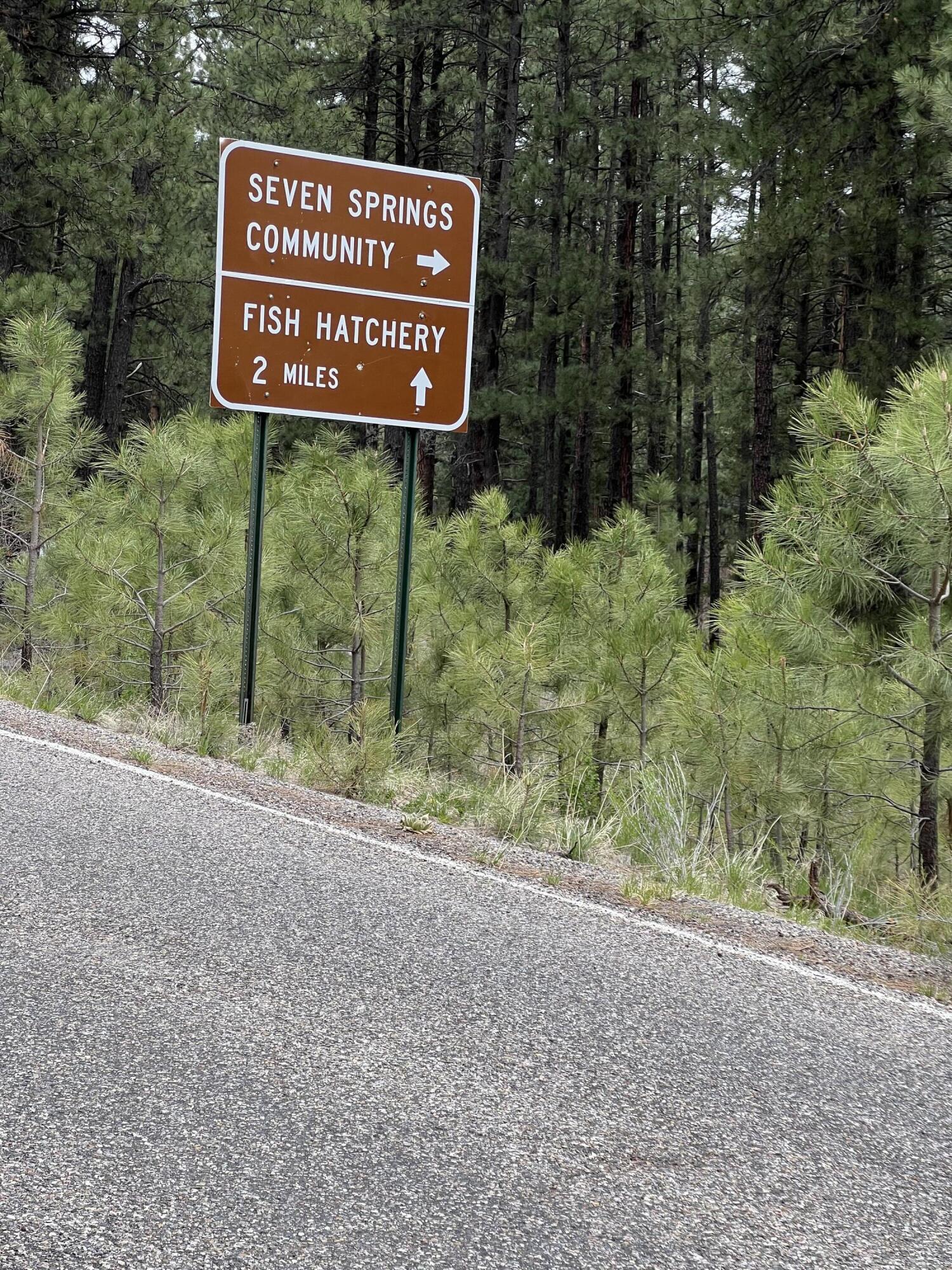 64 Argo Lane, Jemez Springs, New Mexico image 34