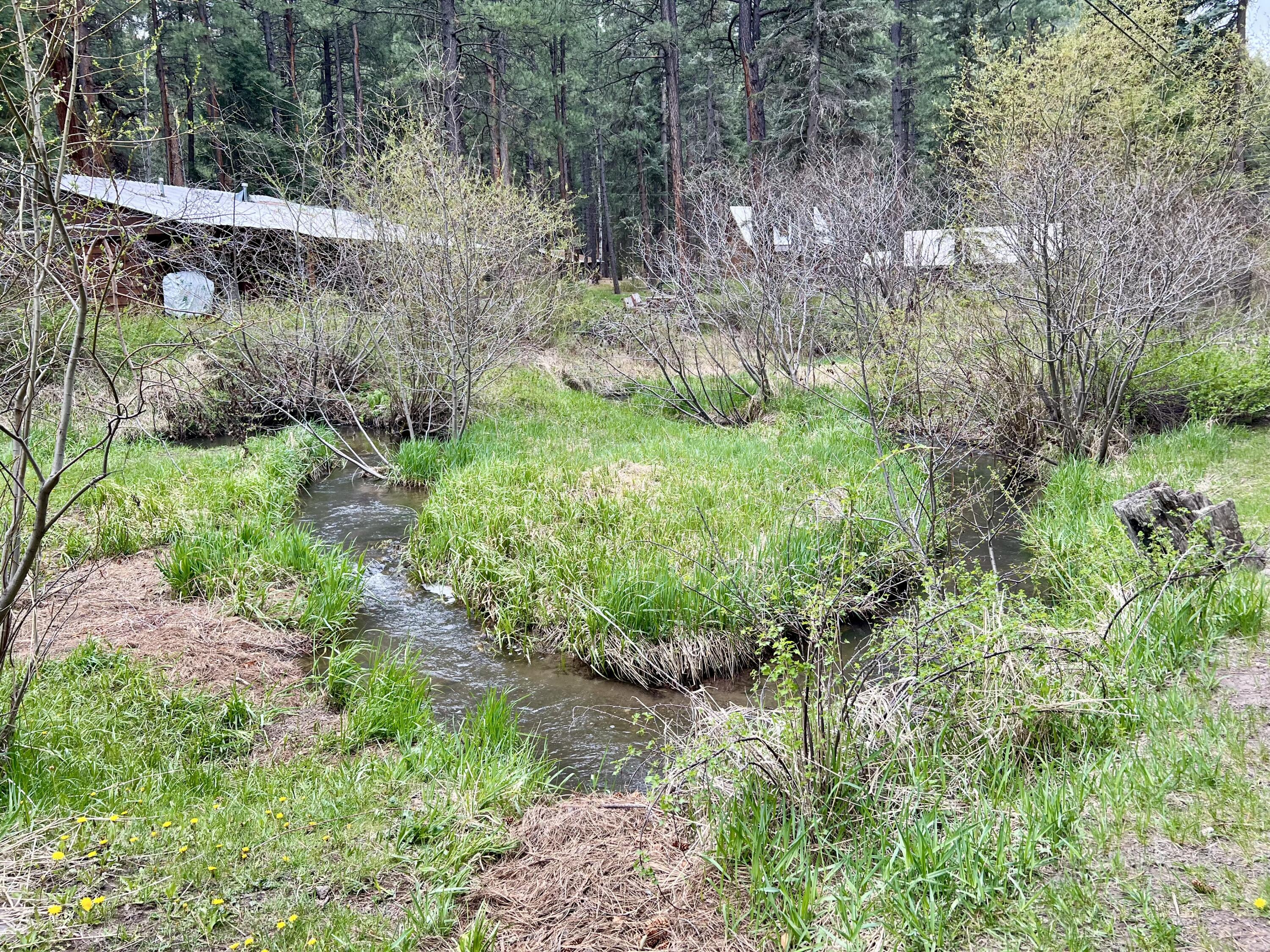 64 Argo Lane, Jemez Springs, New Mexico image 6
