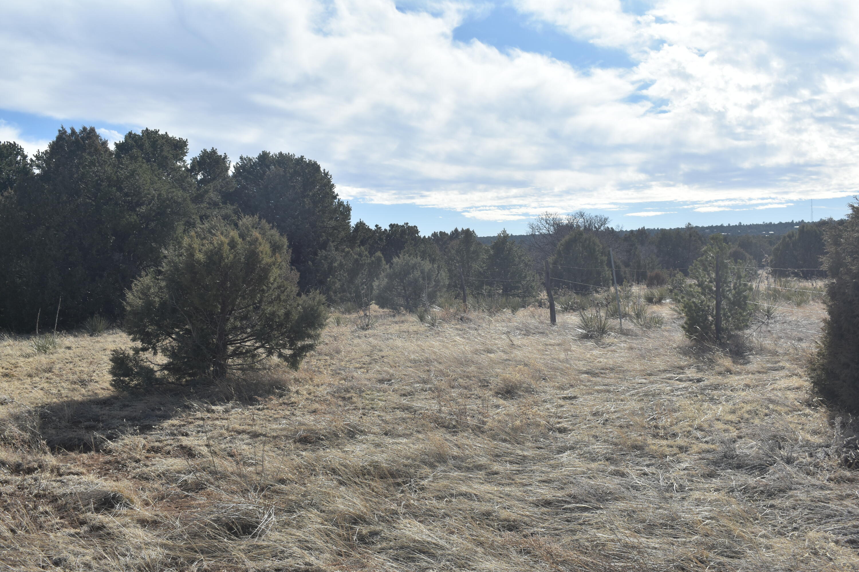 8 Reload Road, Tijeras, New Mexico image 8