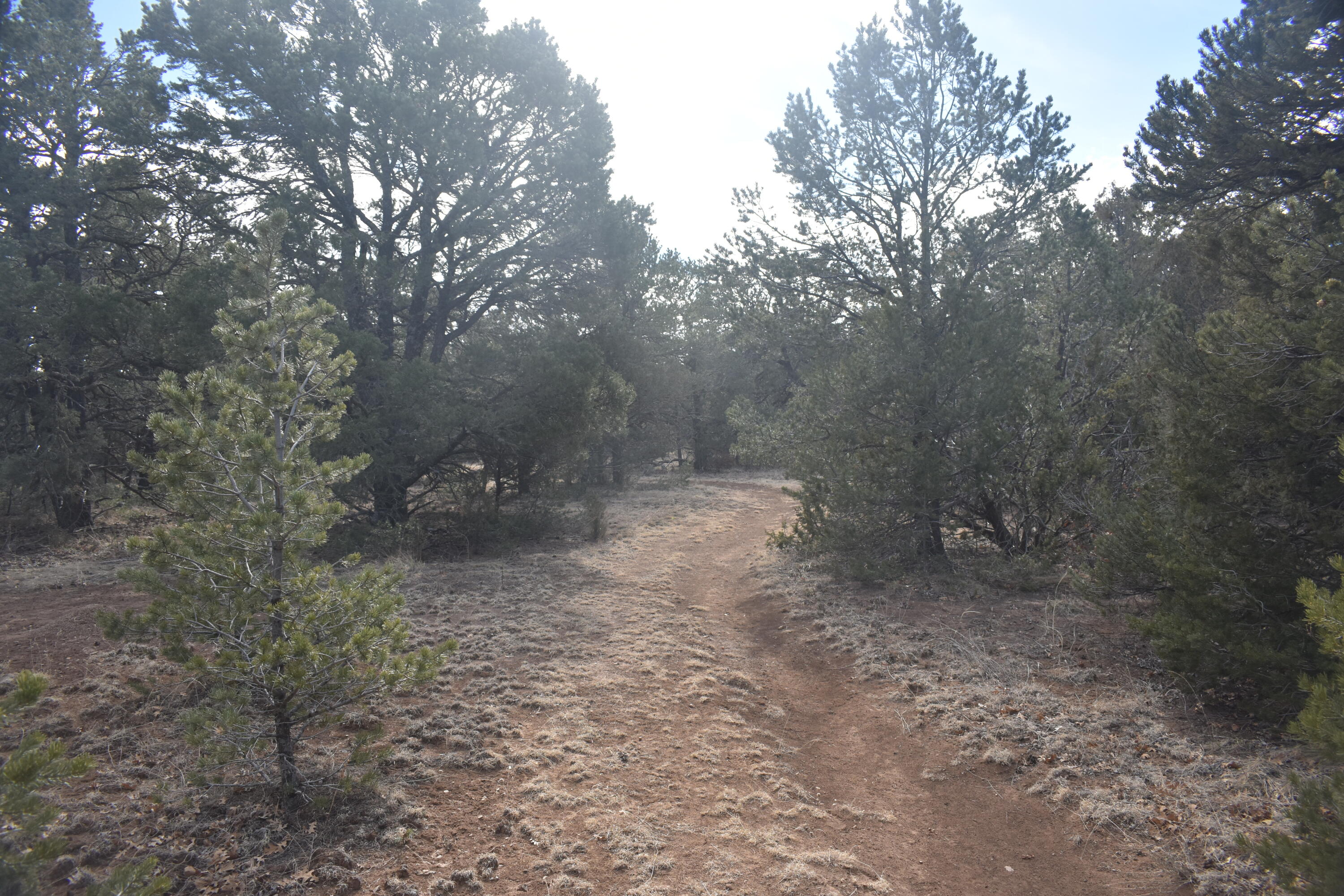 8 Reload Road, Tijeras, New Mexico image 6