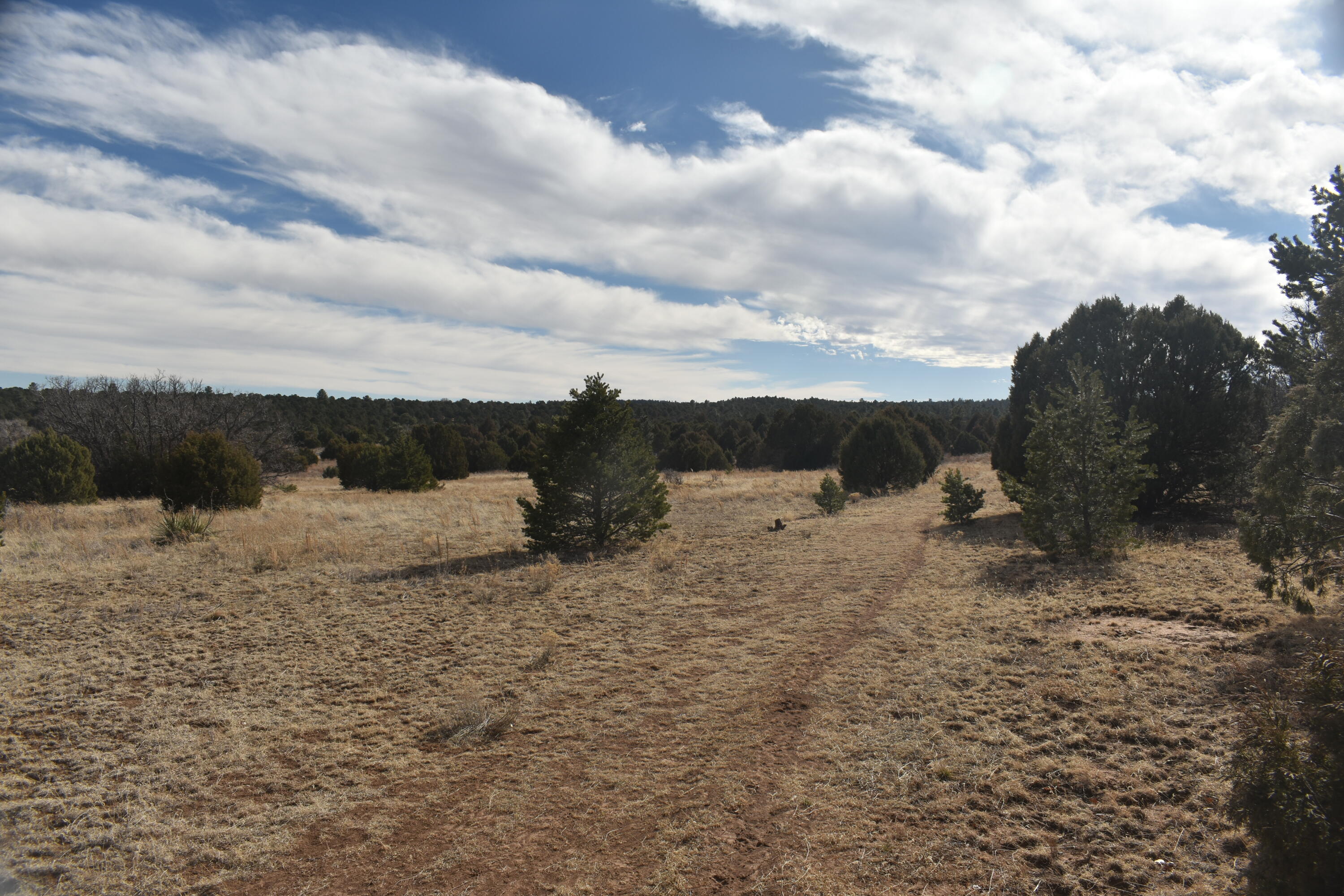 8 Reload Road, Tijeras, New Mexico image 7