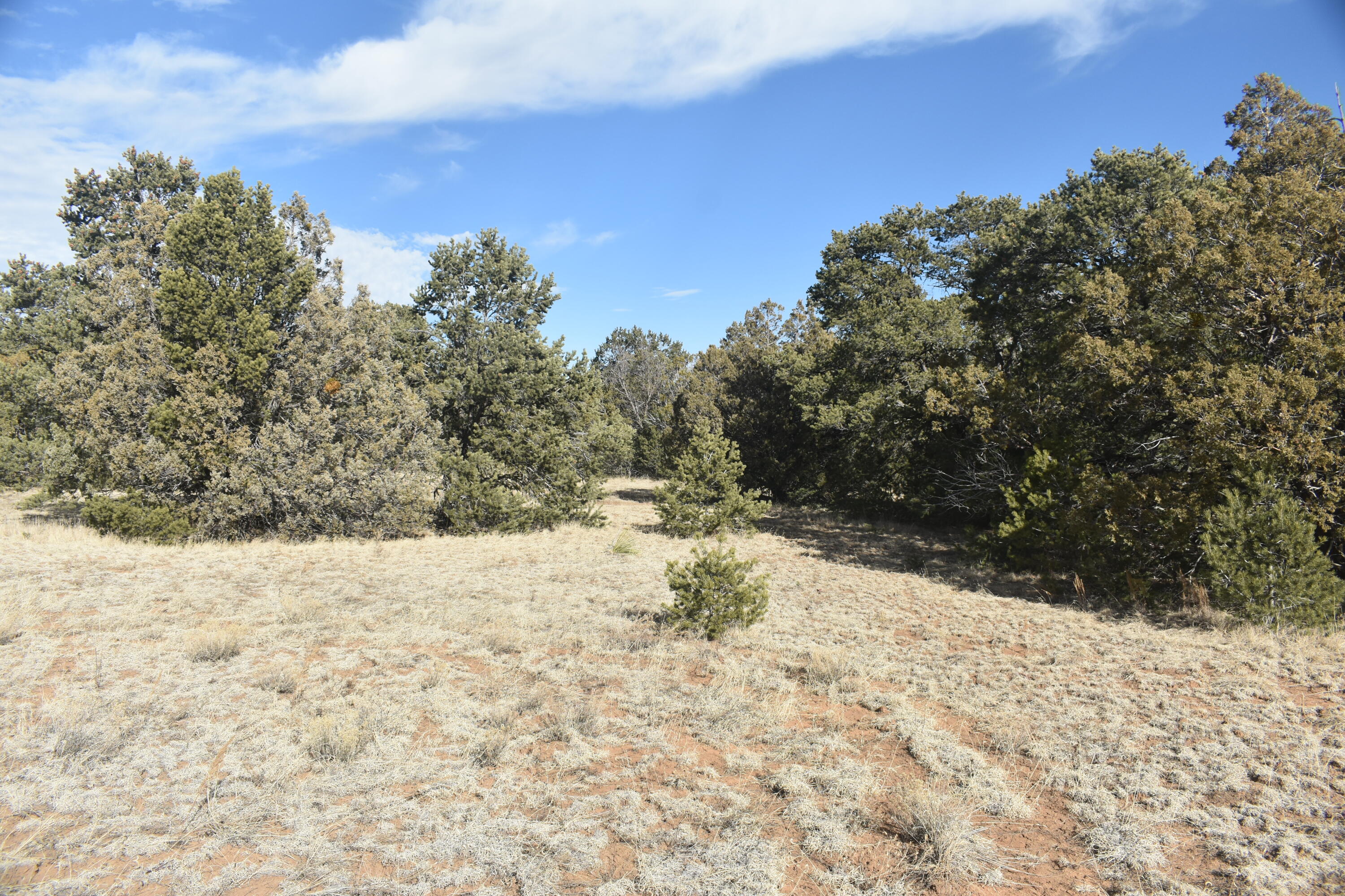 8 Reload Road, Tijeras, New Mexico image 5