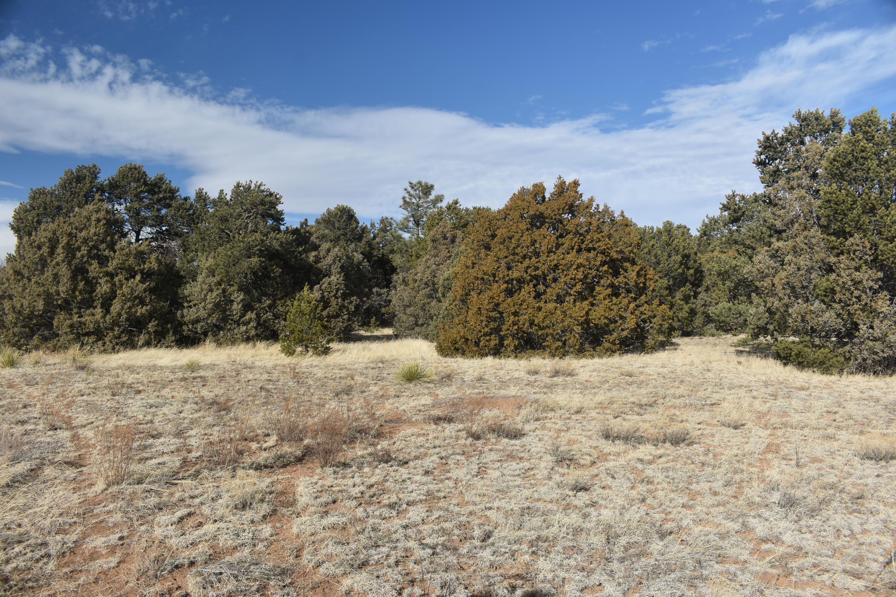 8 Reload Road, Tijeras, New Mexico image 4