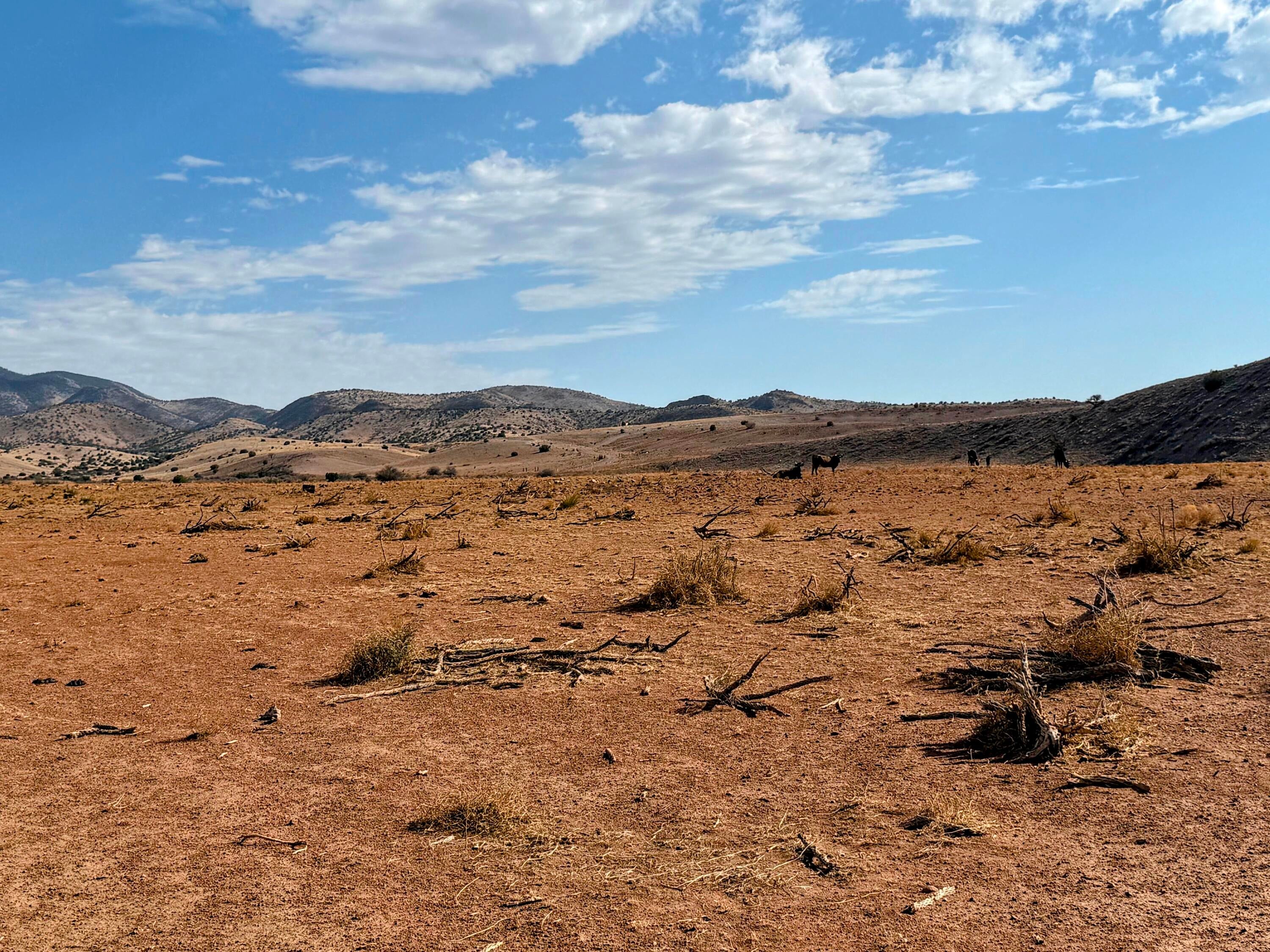 Lot 122 Golden Ridge