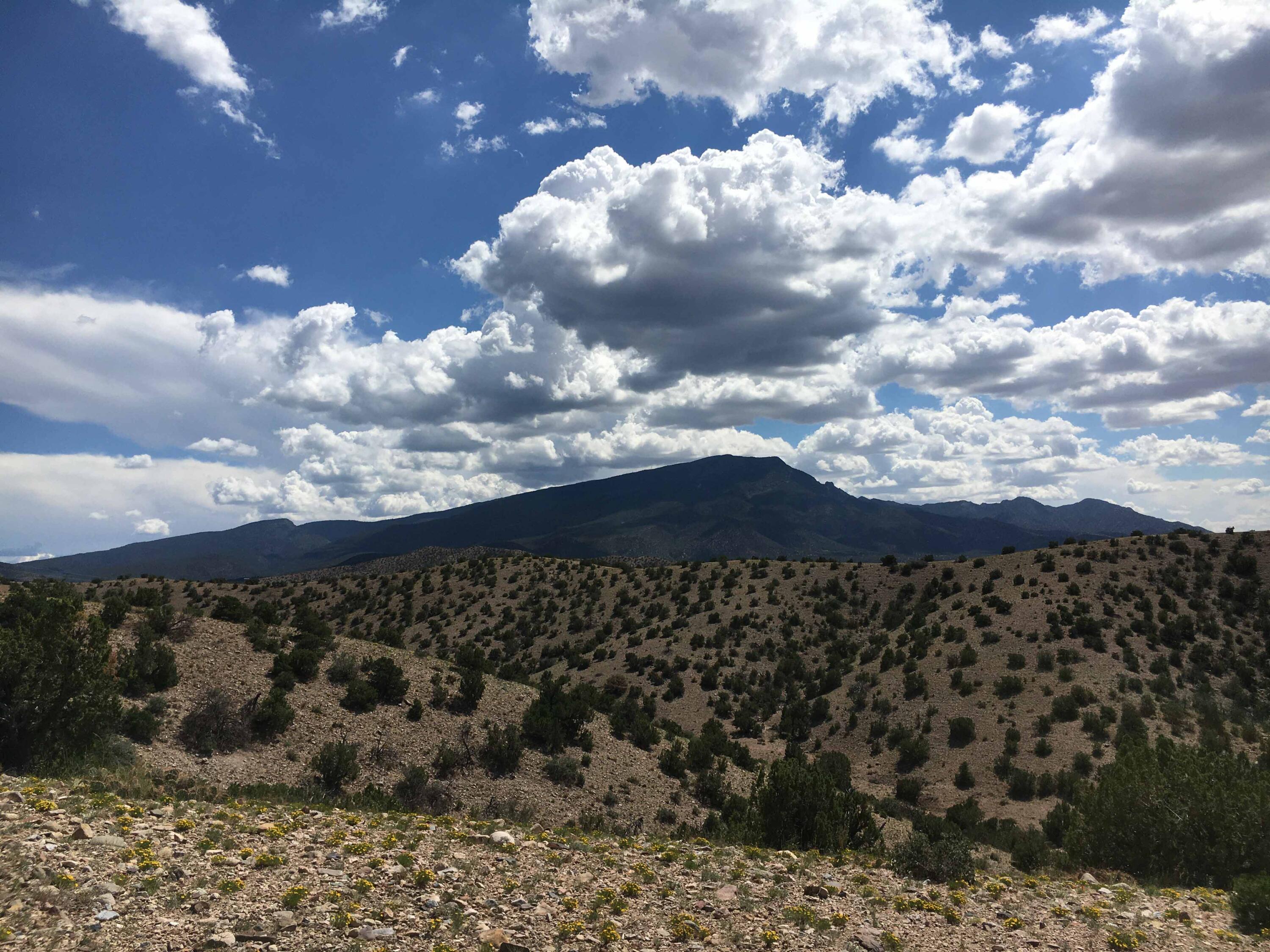 Unit 3 E Camino Halcon, Placitas, New Mexico image 4