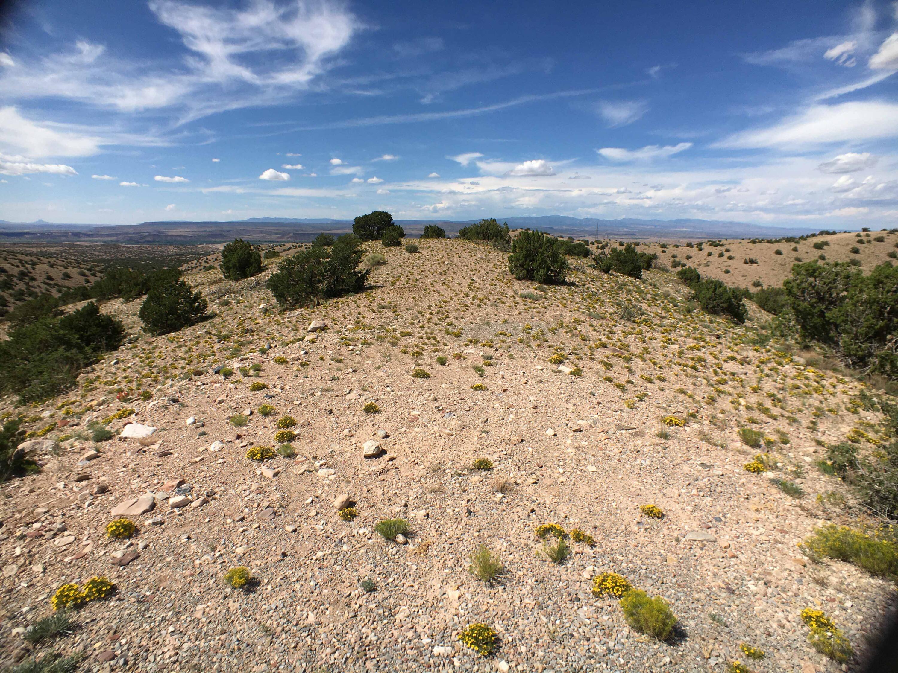 Unit 3 E Camino Halcon, Placitas, New Mexico image 2