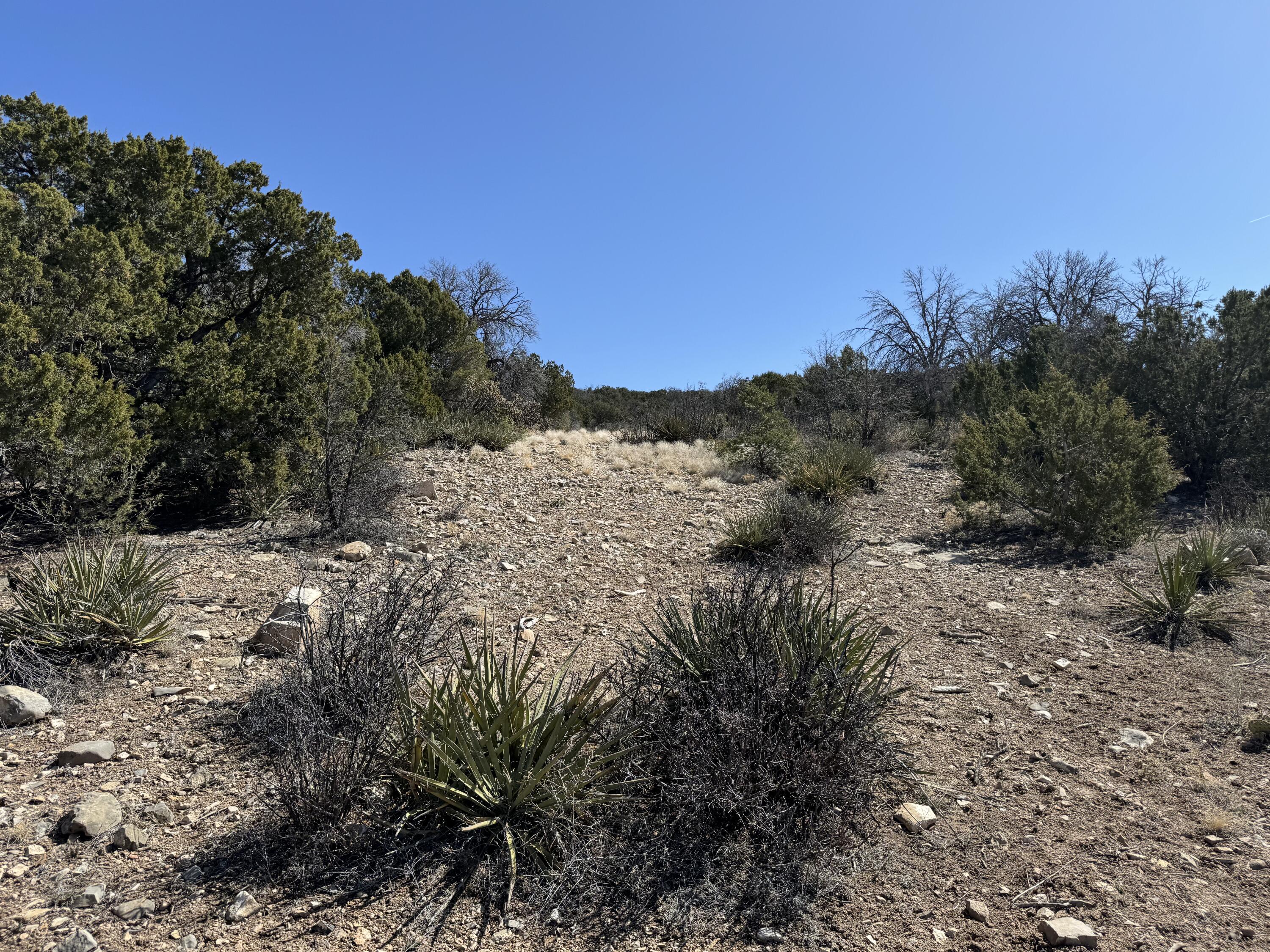 156a County Line Road, Edgewood, New Mexico image 6