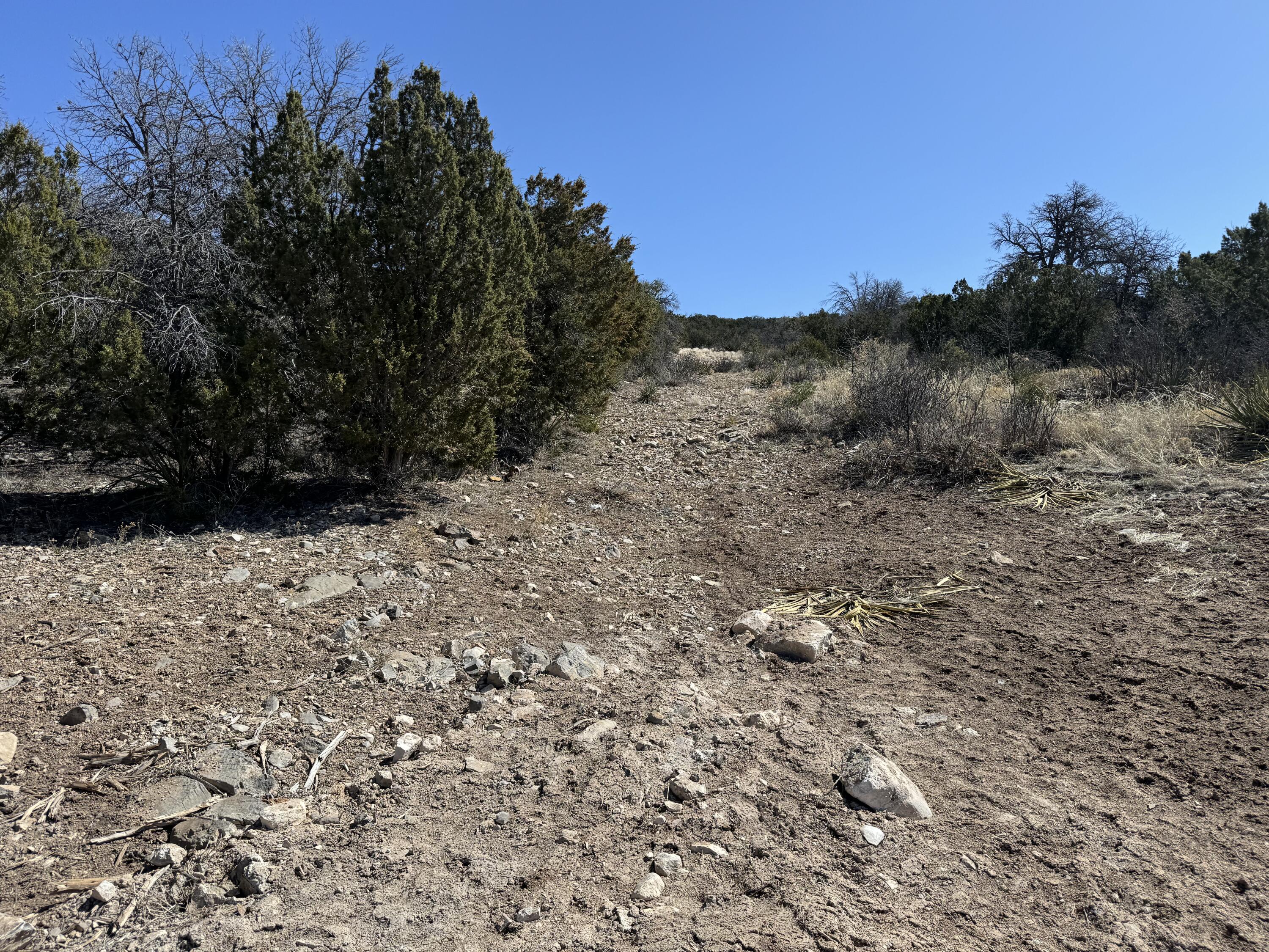 156a County Line Road, Edgewood, New Mexico image 16