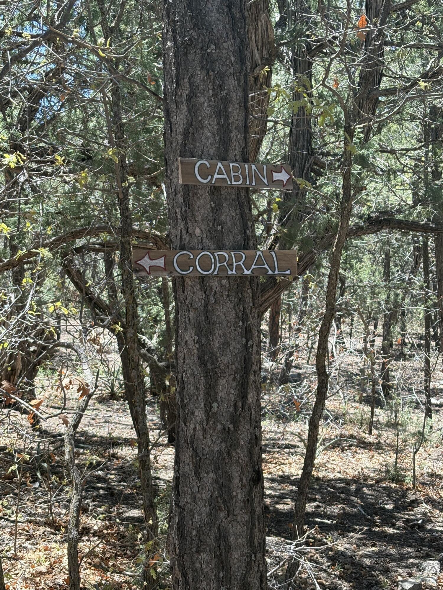 52 Bobolink Lane, Tijeras, New Mexico image 42