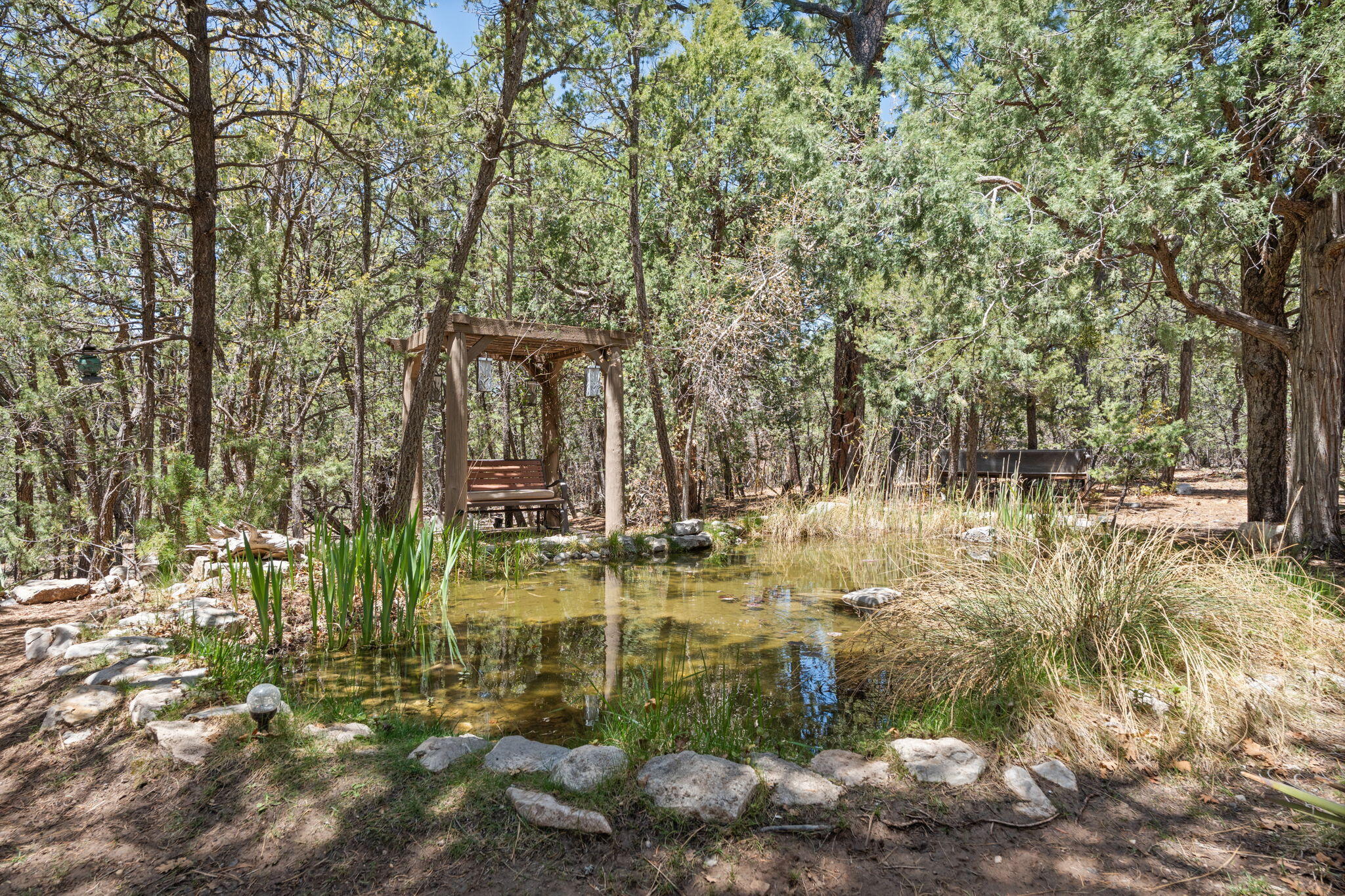 52 Bobolink Lane, Tijeras, New Mexico image 38