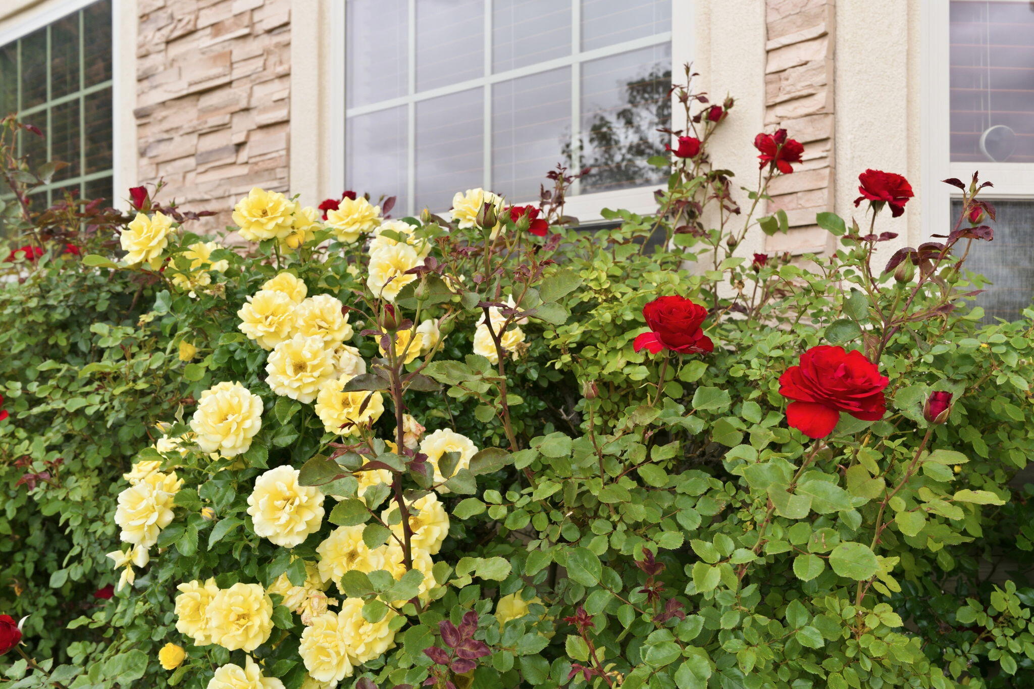 8715 Warm Springs Road 8715 NW