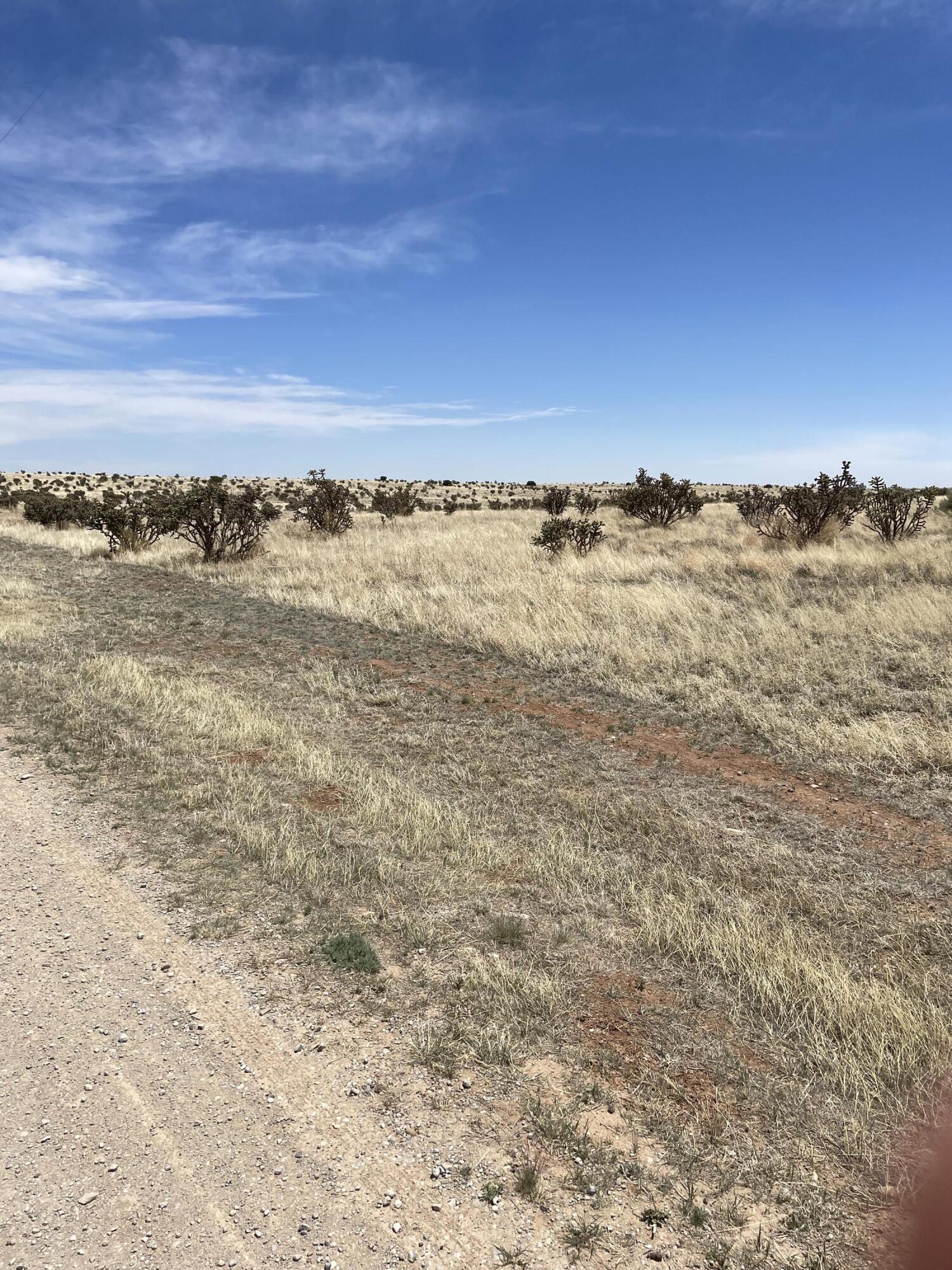 7 Araiza Rd Road, Edgewood, New Mexico image 4