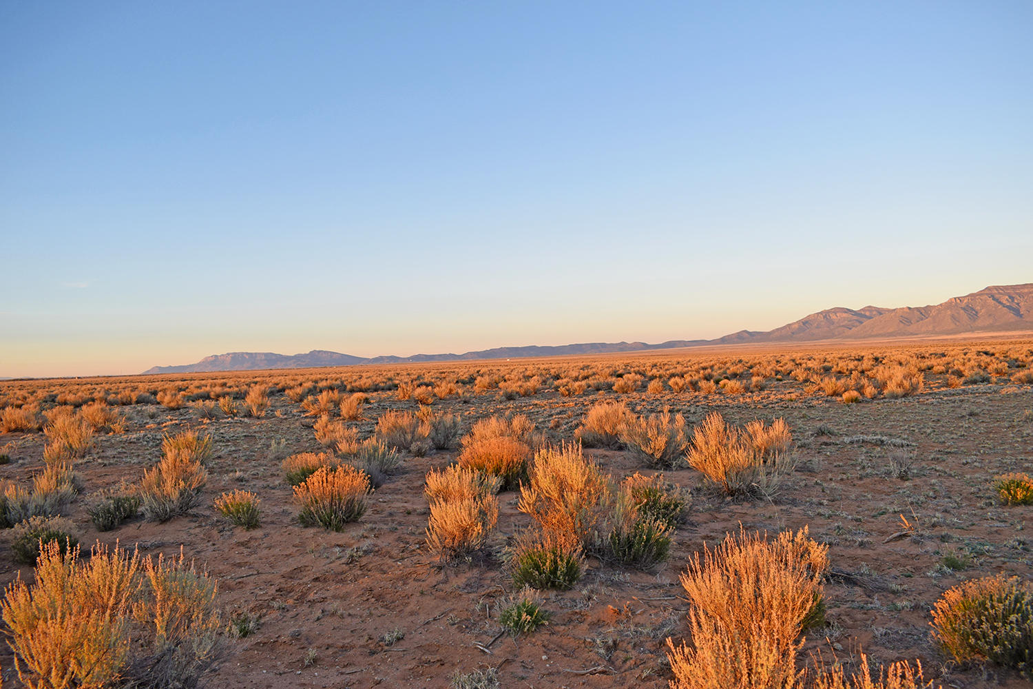 Lot 128 Rancho Rio Grande #14E, Los Lunas, New Mexico image 5