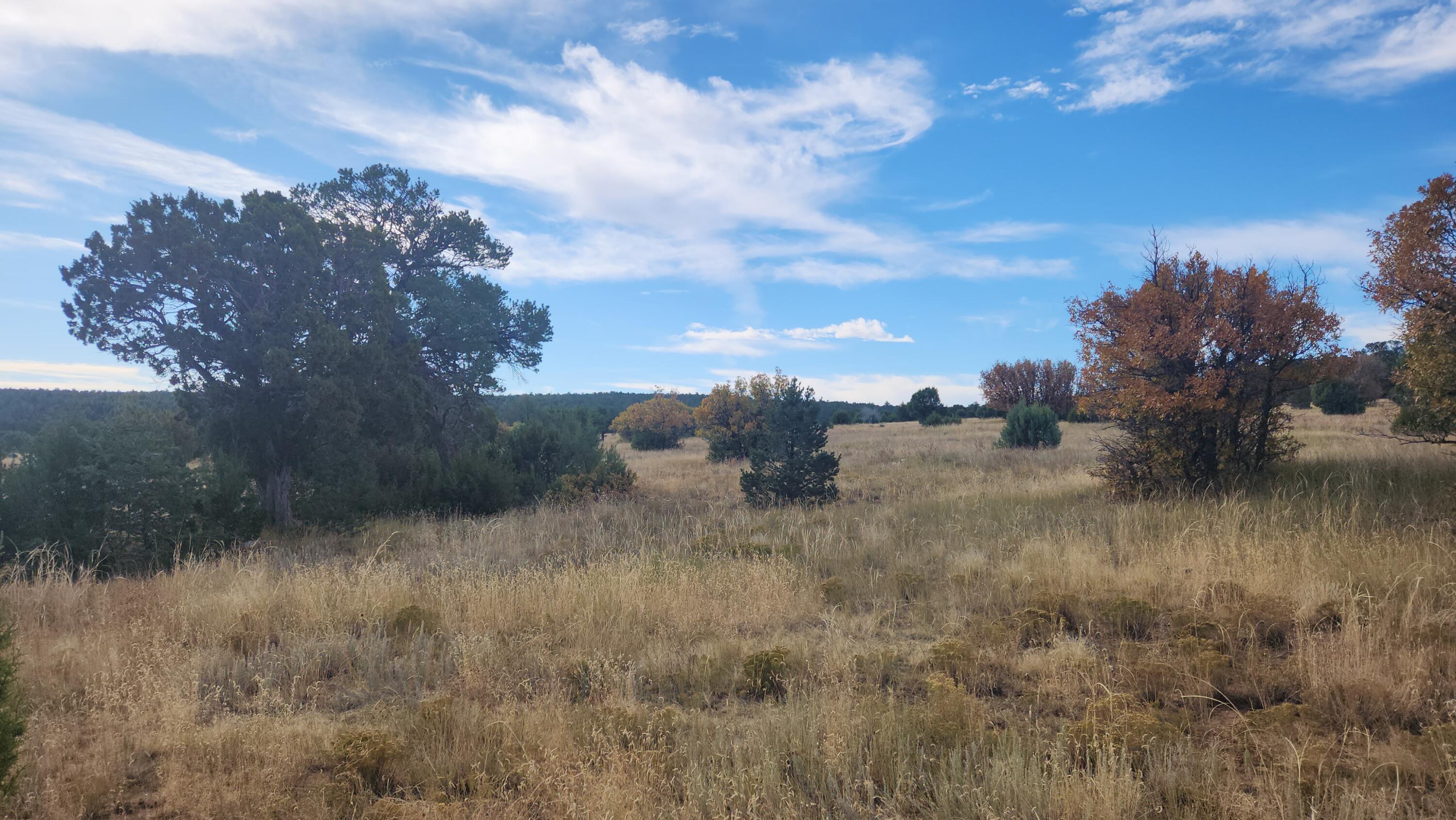 Camino De Las Palas, Estancia, New Mexico image 8