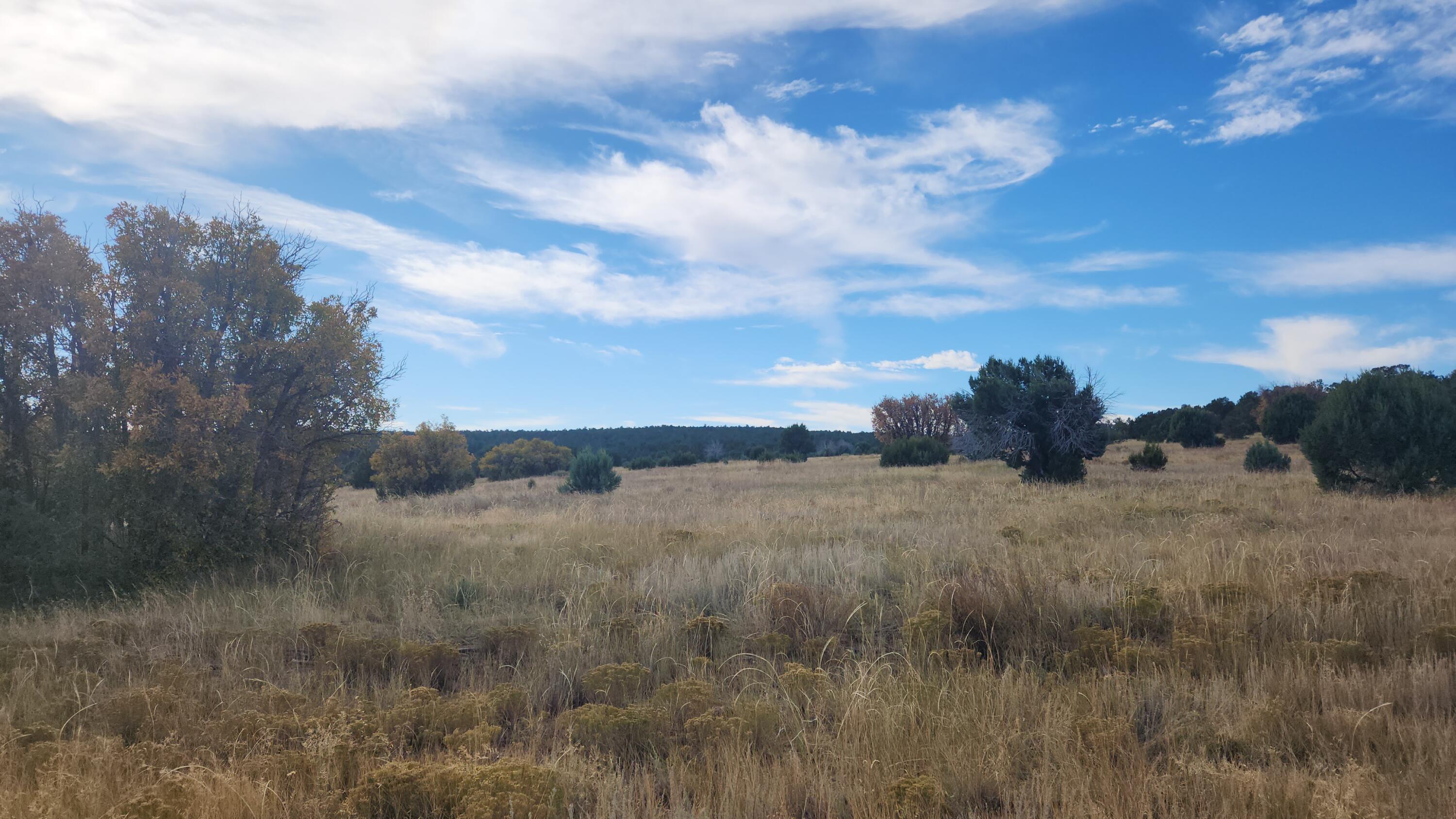 Camino De Las Palas, Estancia, New Mexico image 4