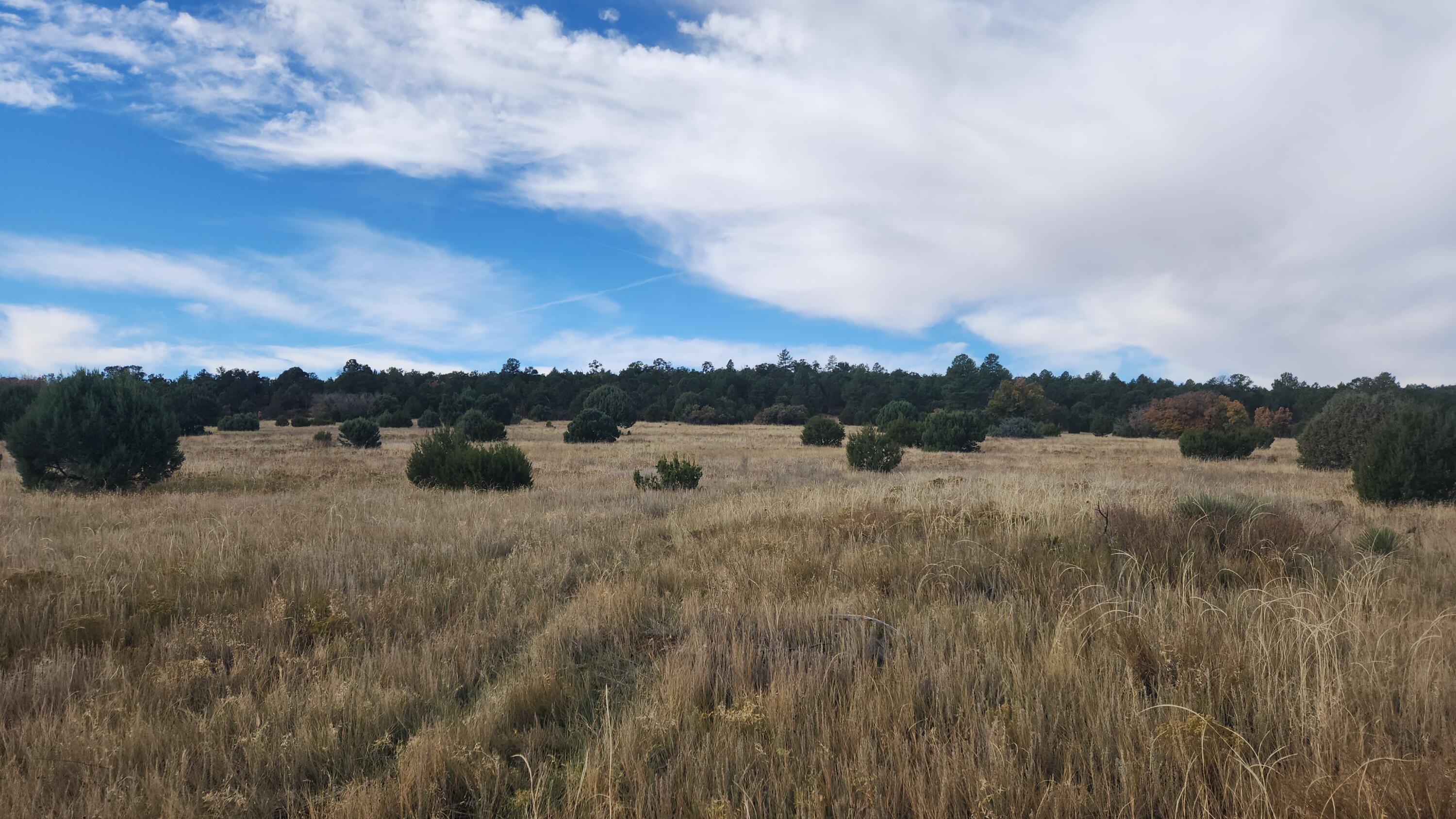 Camino De Las Palas, Estancia, New Mexico image 3