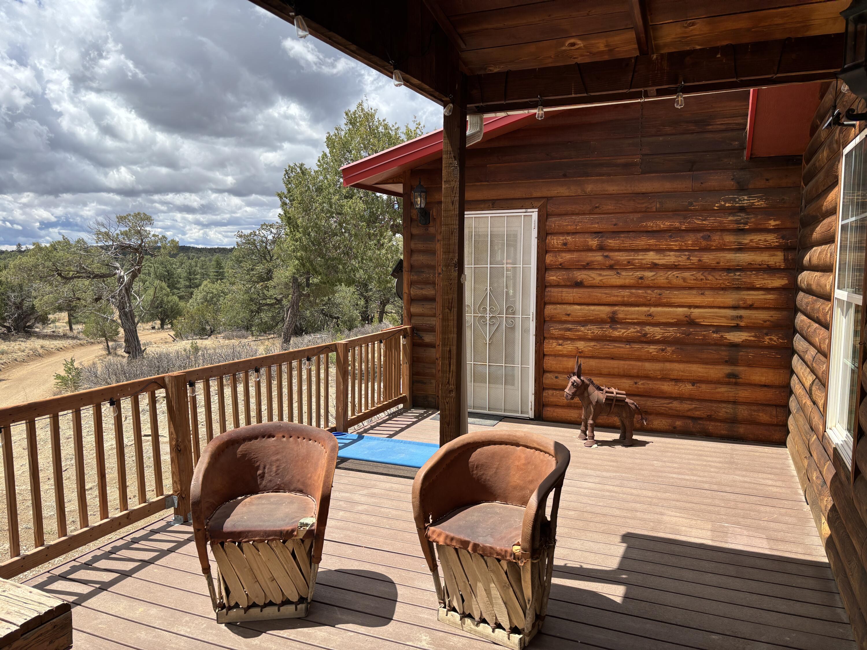 37 Lasso Lane Lane, Pie Town, New Mexico image 9