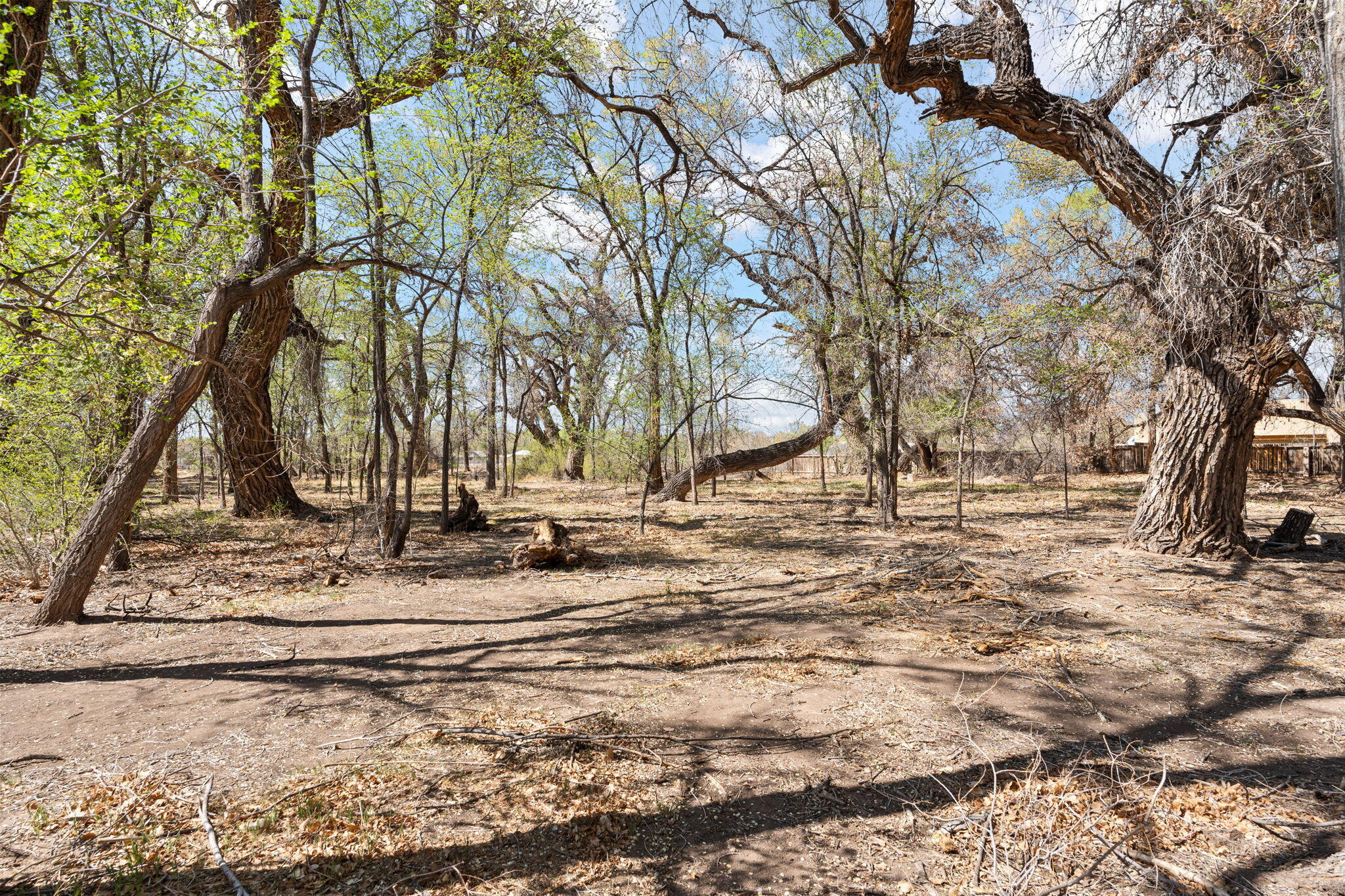 12 Huff Road, Corrales, New Mexico image 3