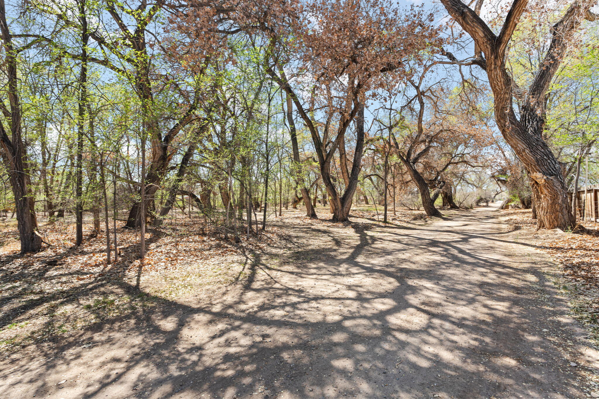 12 Huff Road, Corrales, New Mexico image 13