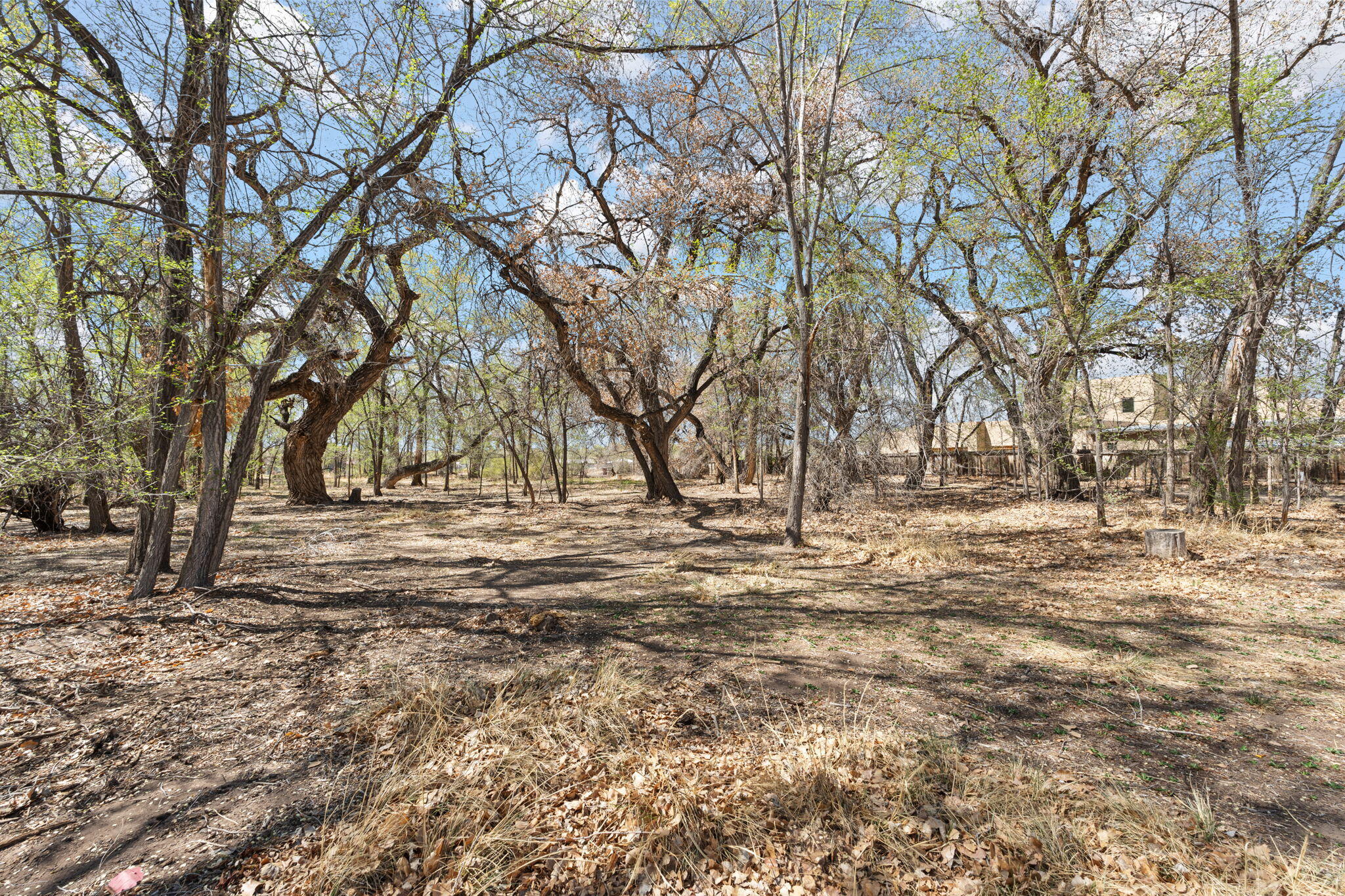 12 Huff Road, Corrales, New Mexico image 14