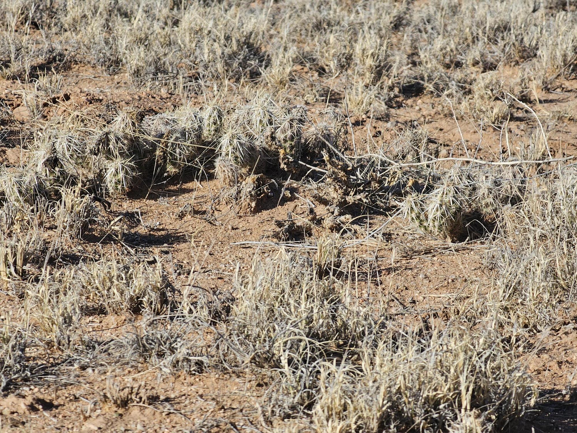 Vl Rio Grande Estates L12 Blk 314 7