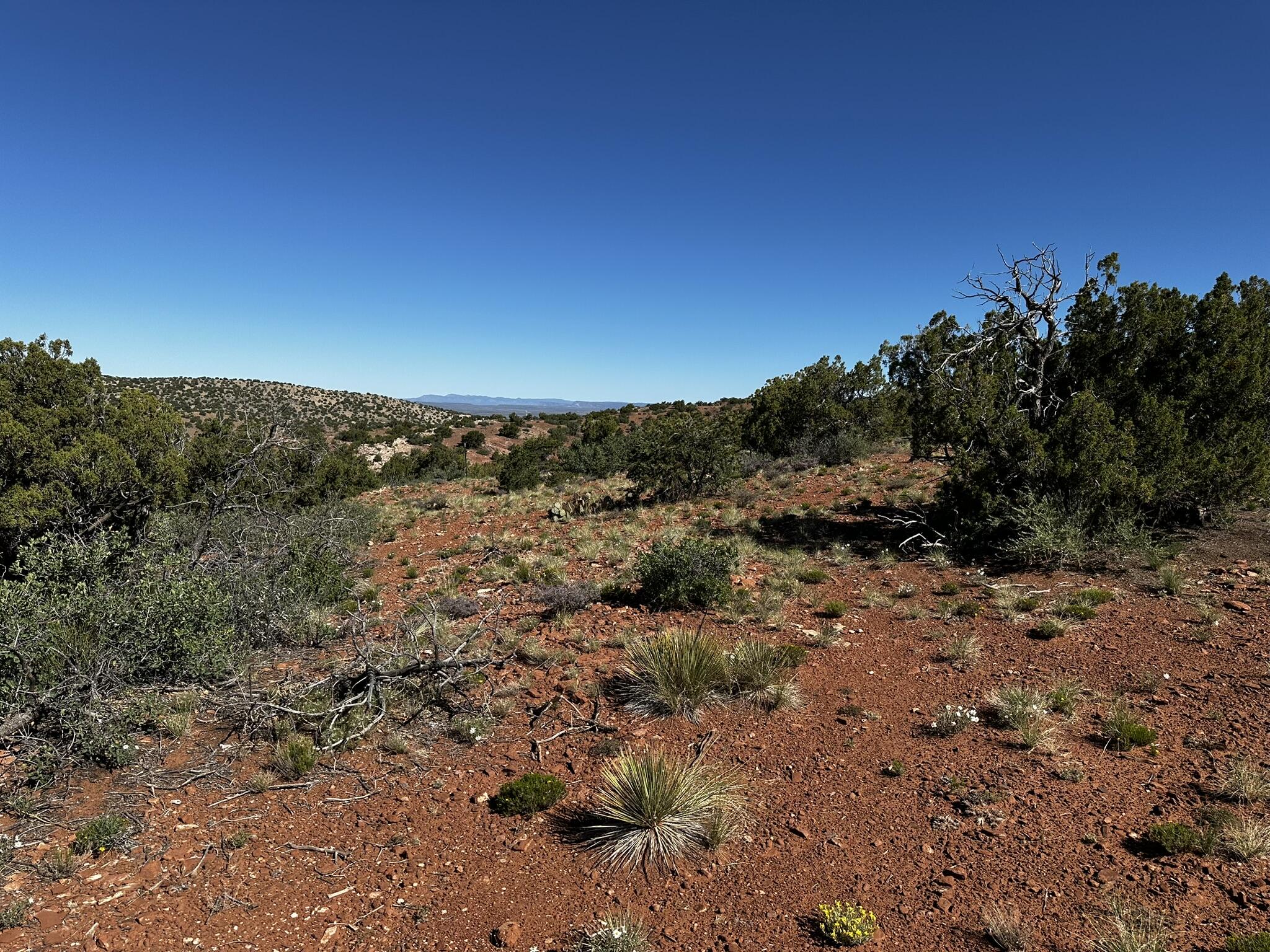 304 Moonlight Ridge Road, Placitas, North Carolina image 8