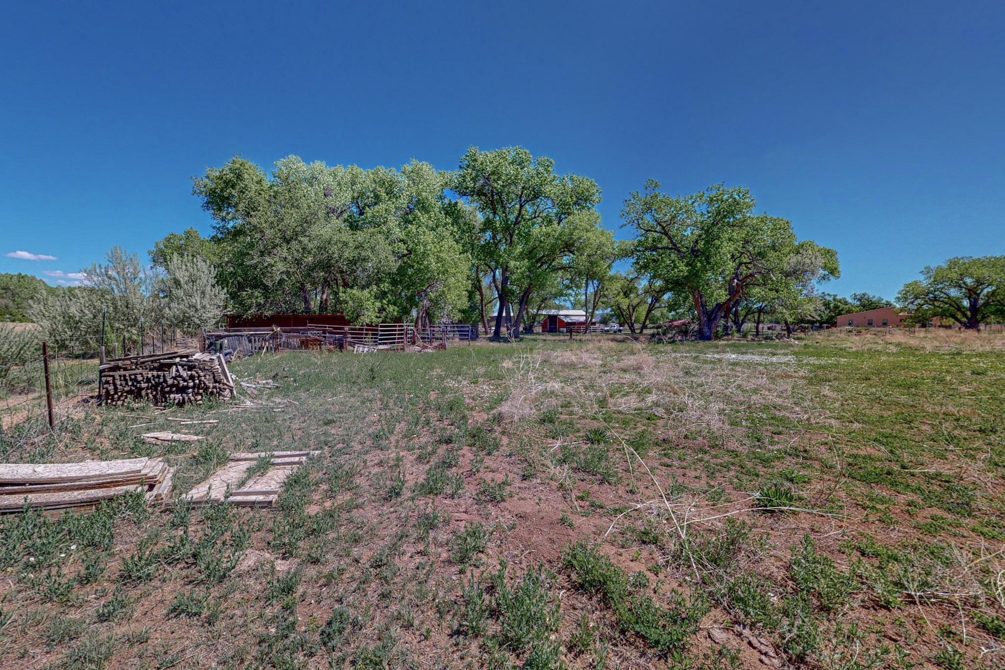 59 Arroyo Leyba Rd, Pena Blanca, New Mexico image 8